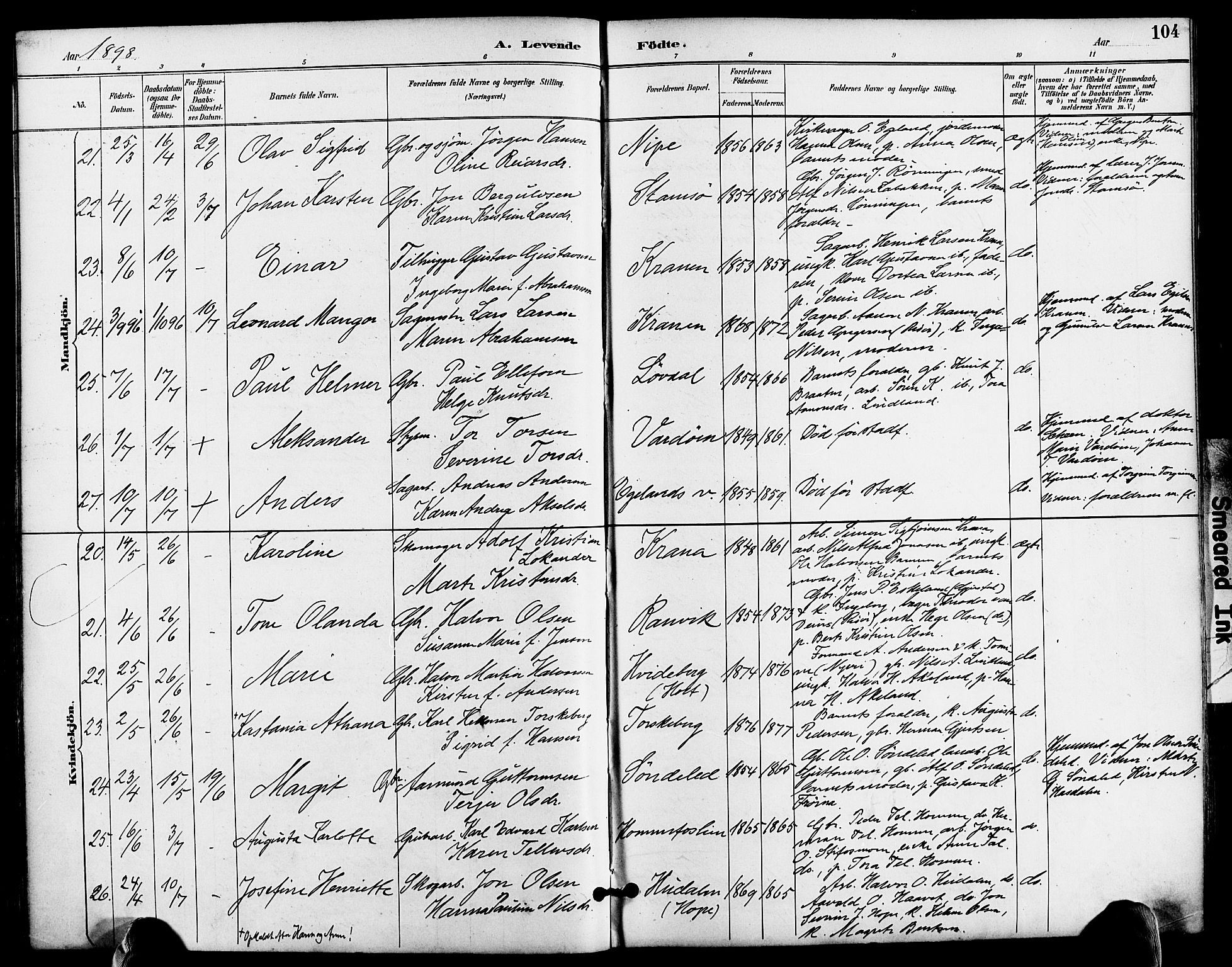 Søndeled sokneprestkontor, AV/SAK-1111-0038/F/Fa/L0005: Parish register (official) no. A 5, 1889-1899, p. 104