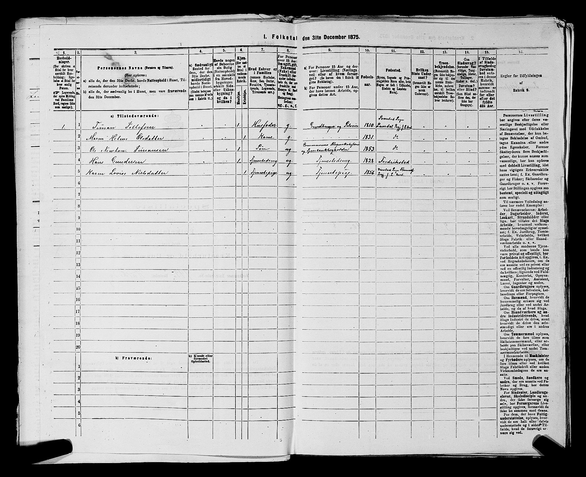 SAKO, 1875 census for 0715P Botne, 1875, p. 702