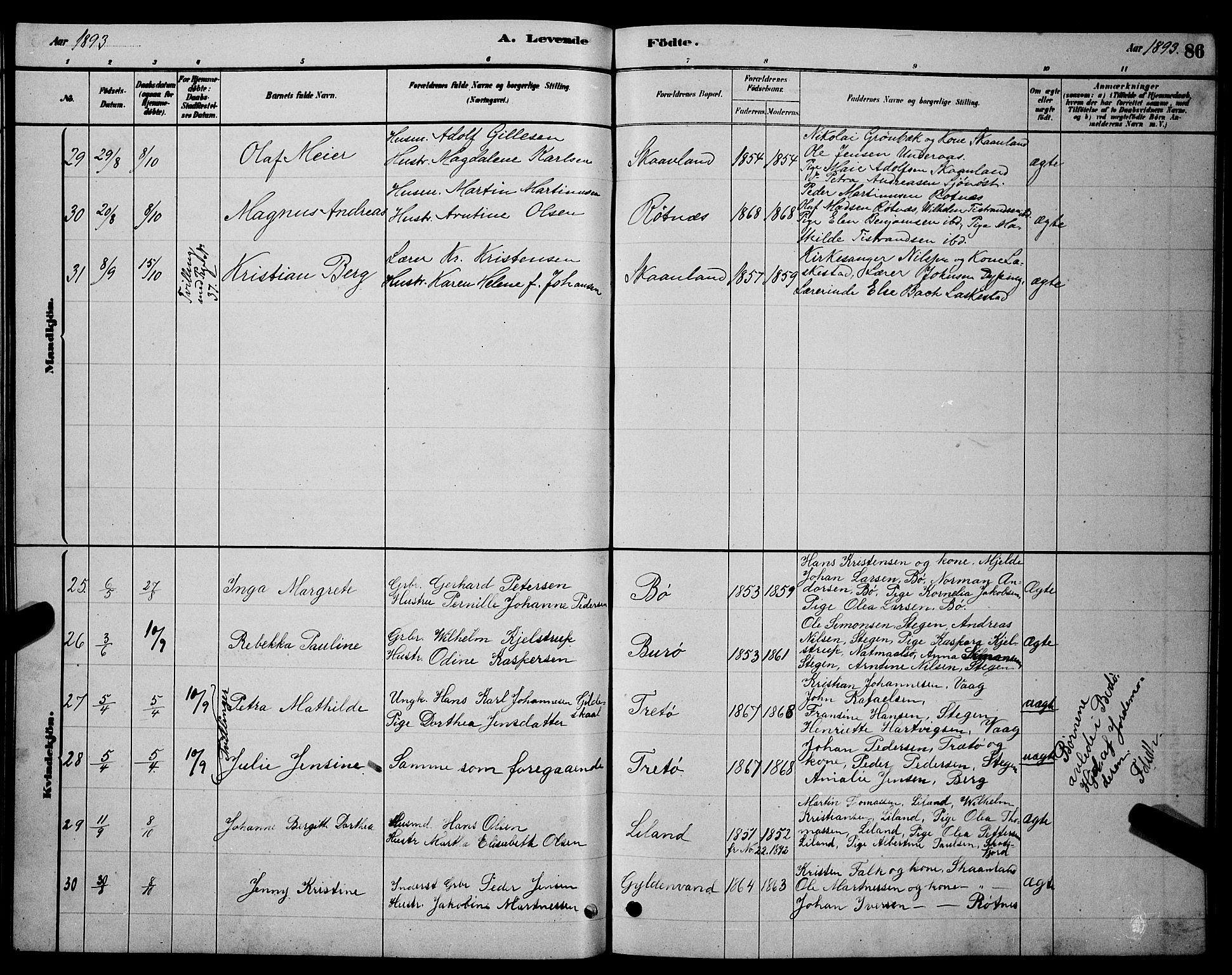 Ministerialprotokoller, klokkerbøker og fødselsregistre - Nordland, AV/SAT-A-1459/855/L0816: Parish register (copy) no. 855C05, 1879-1894, p. 86