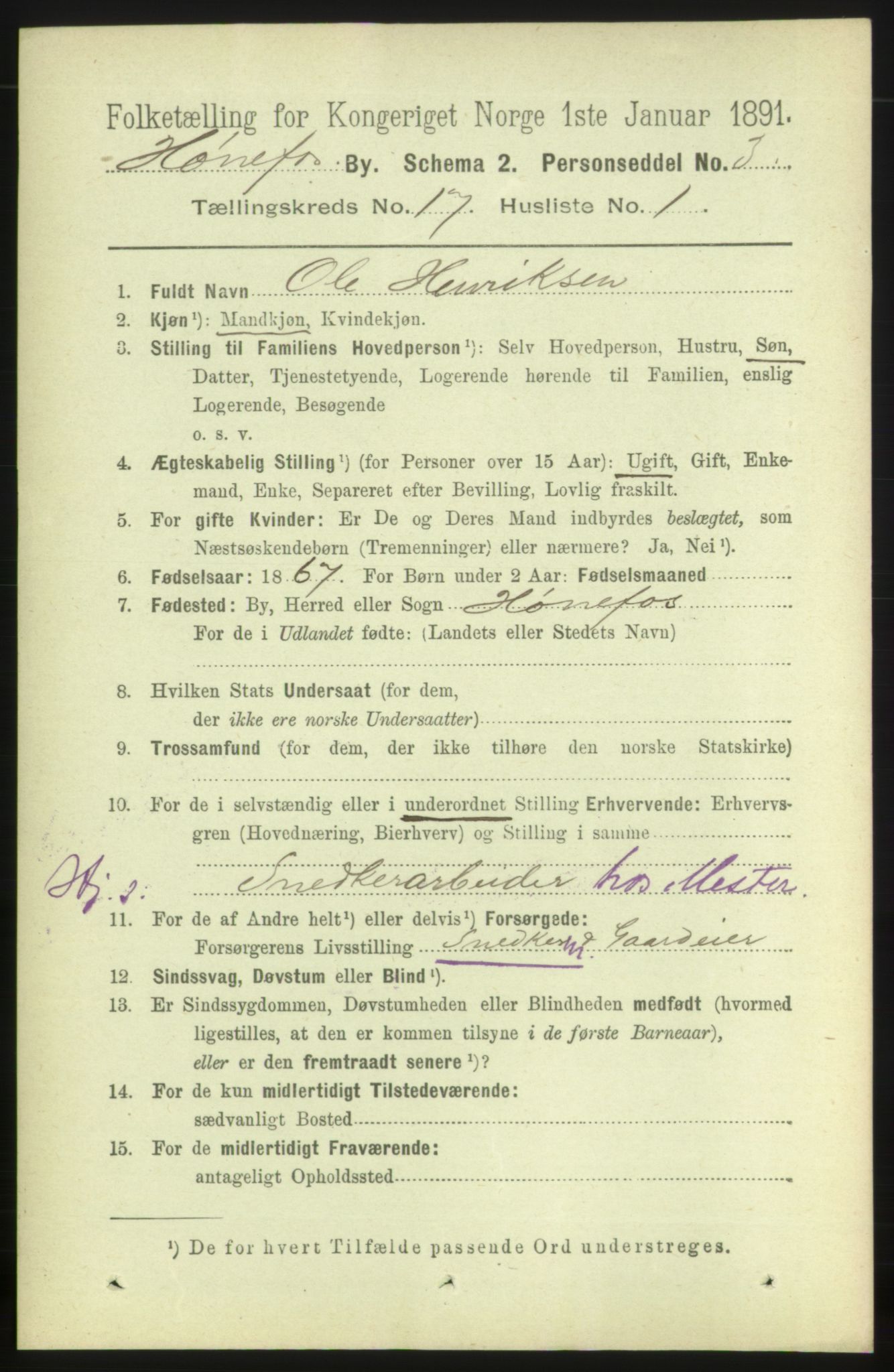 RA, 1891 census for 0601 Hønefoss, 1891, p. 1861