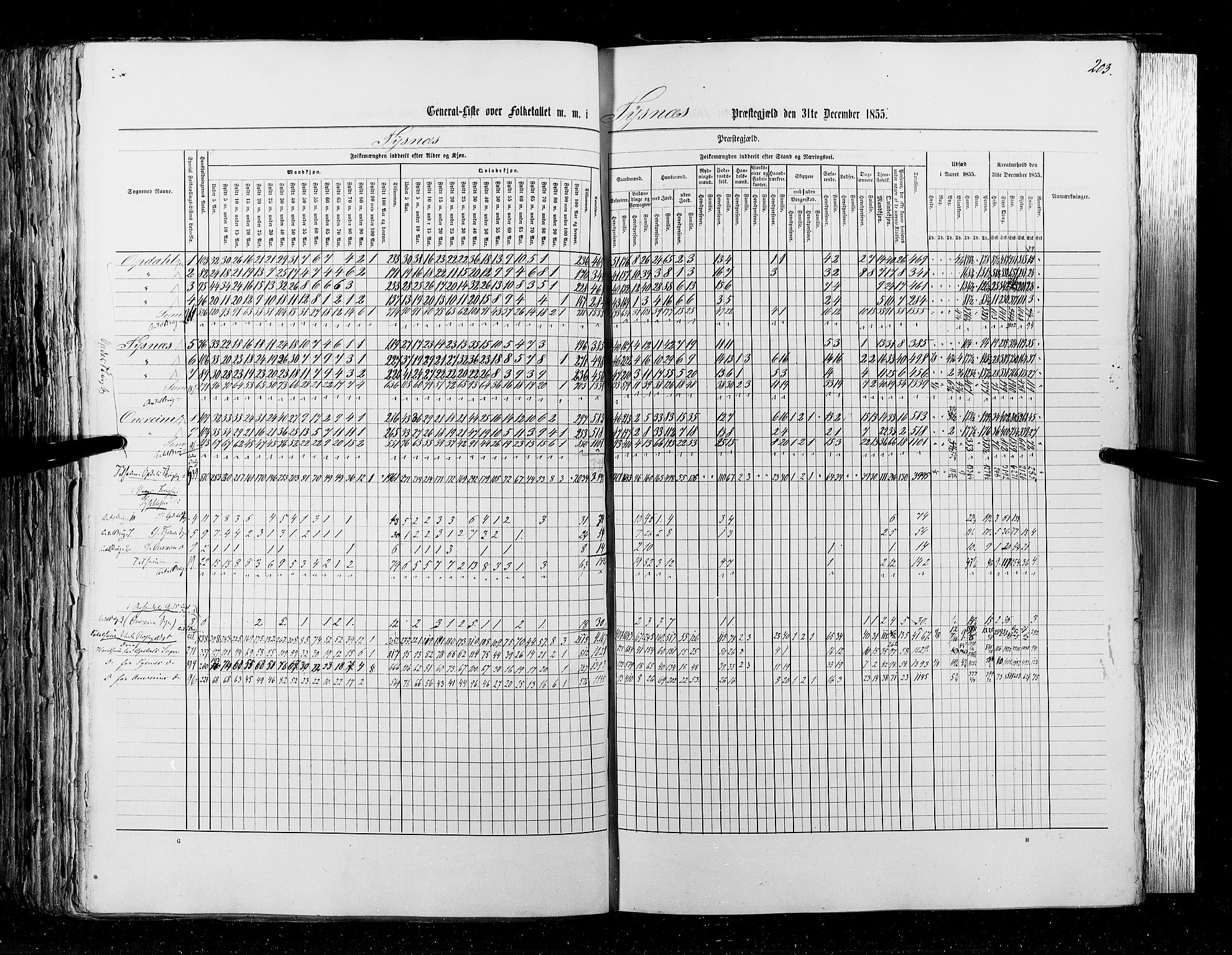 RA, Census 1855, vol. 4: Stavanger amt og Søndre Bergenhus amt, 1855, p. 203