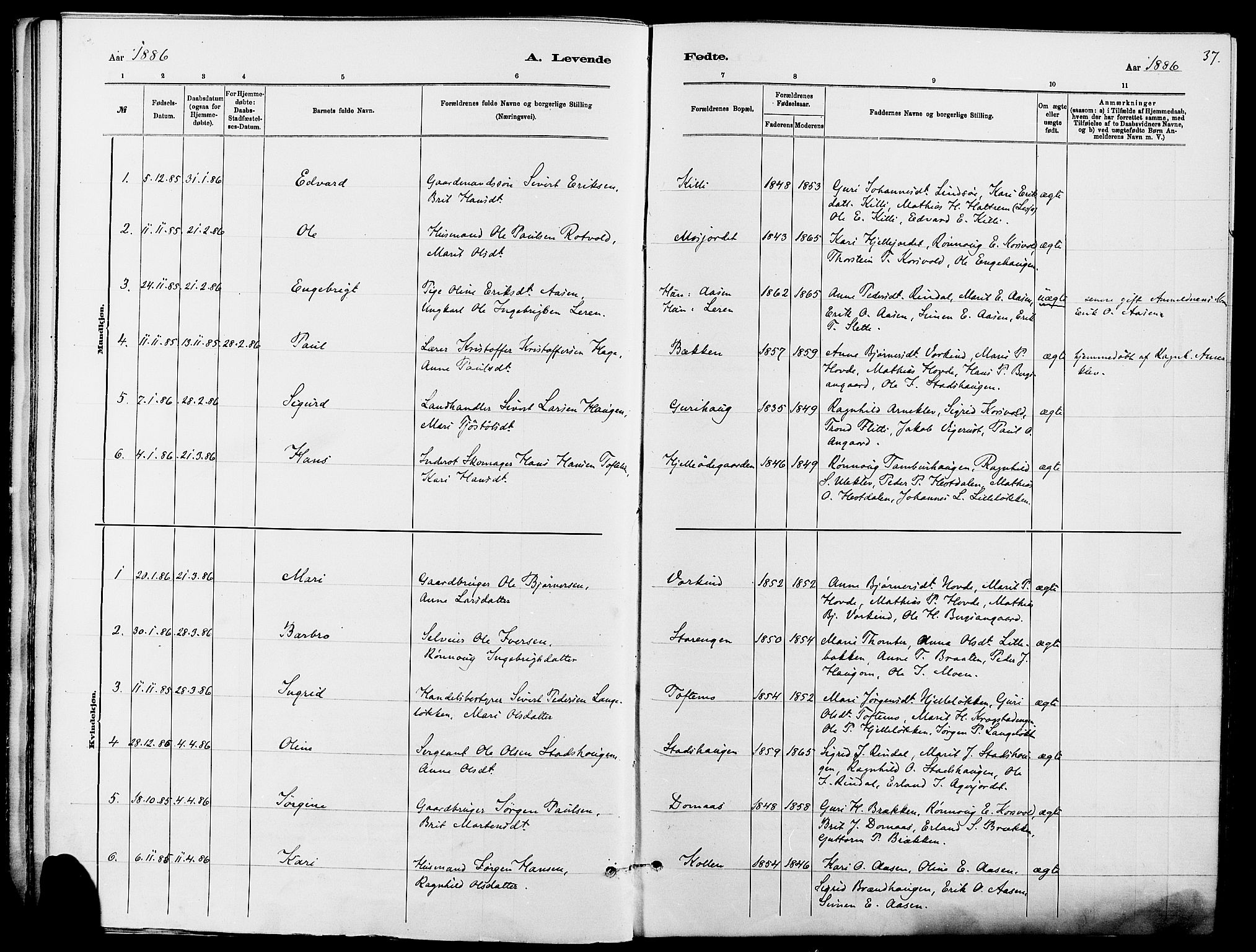 Dovre prestekontor, SAH/PREST-066/H/Ha/Haa/L0002: Parish register (official) no. 2, 1879-1890, p. 37