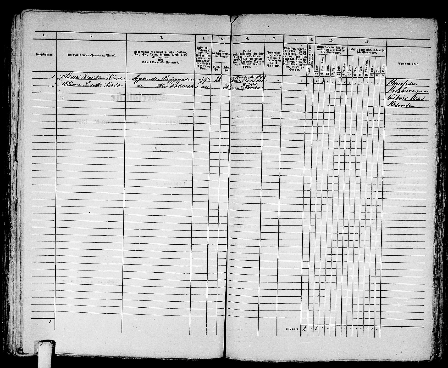 RA, 1865 census for Ålesund, 1865, p. 436