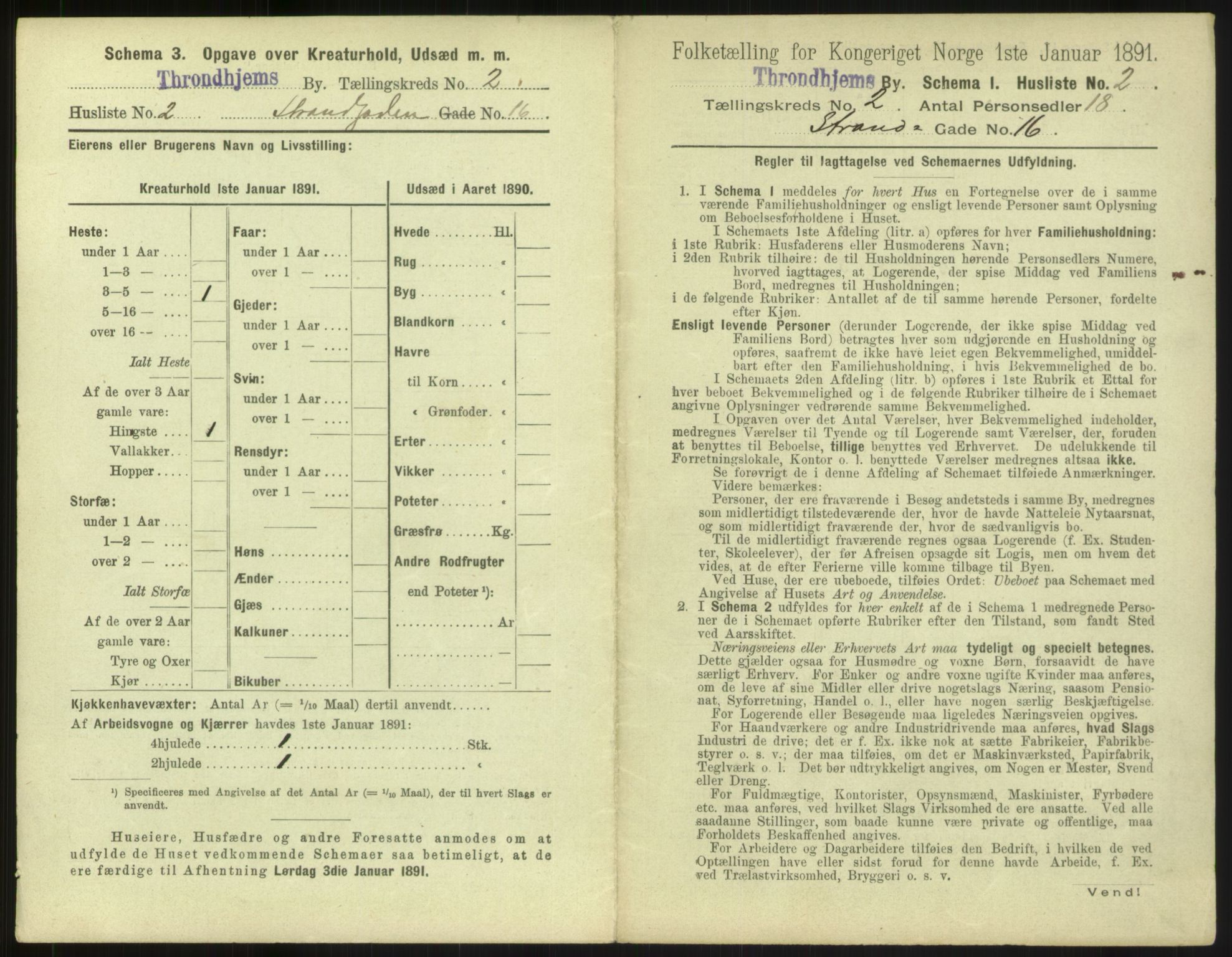 RA, 1891 census for 1601 Trondheim, 1891, p. 238