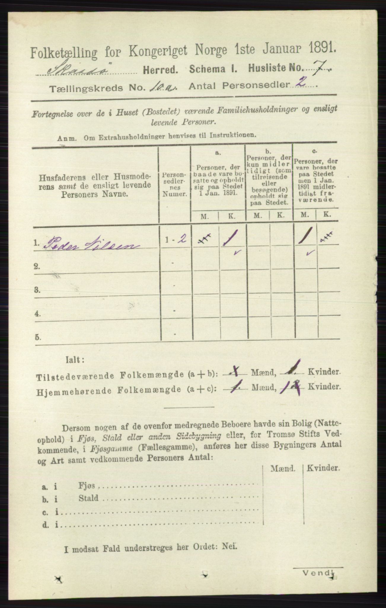 RA, 1891 census for 0815 Skåtøy, 1891, p. 4020