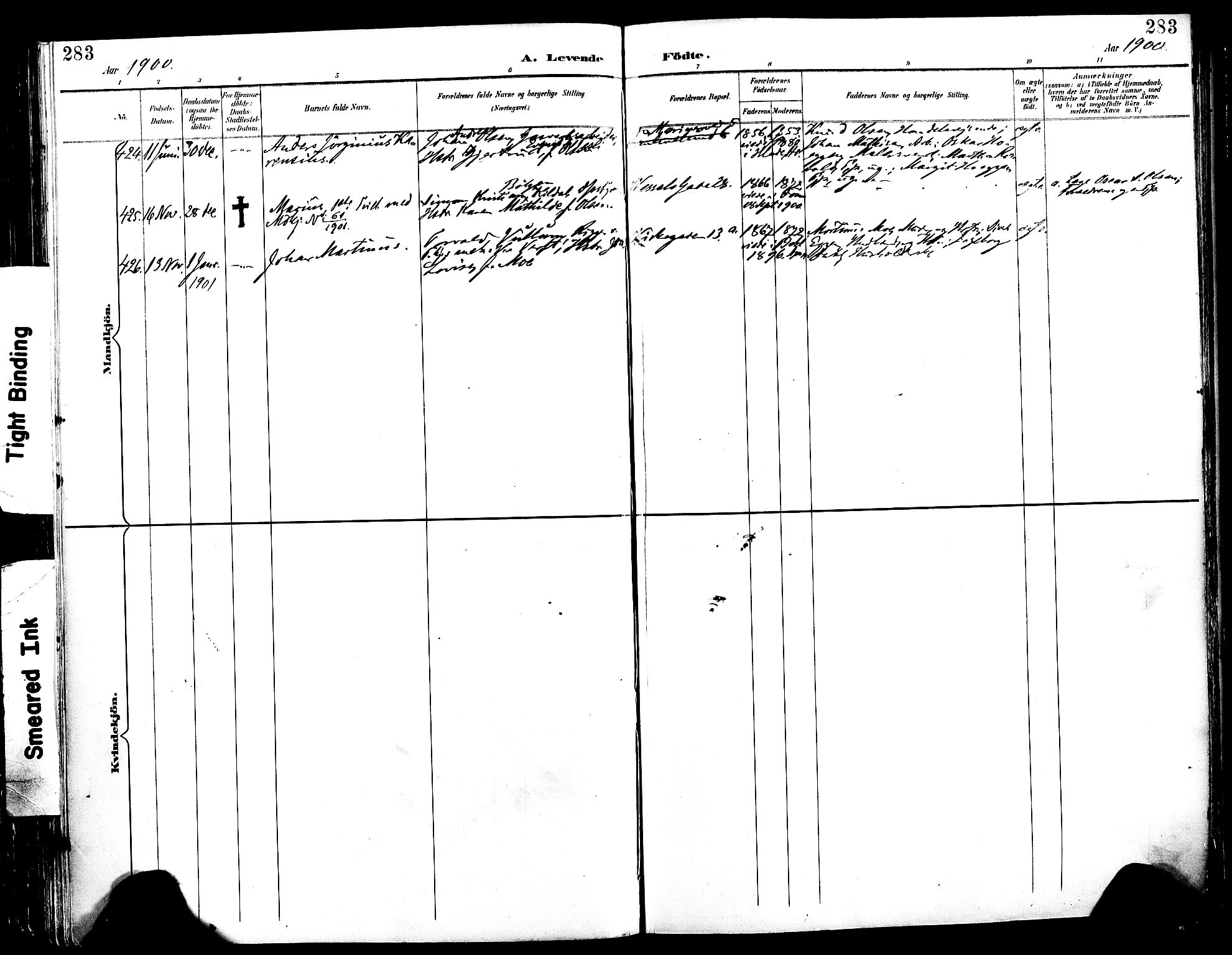 Ministerialprotokoller, klokkerbøker og fødselsregistre - Sør-Trøndelag, AV/SAT-A-1456/604/L0197: Parish register (official) no. 604A18, 1893-1900, p. 283