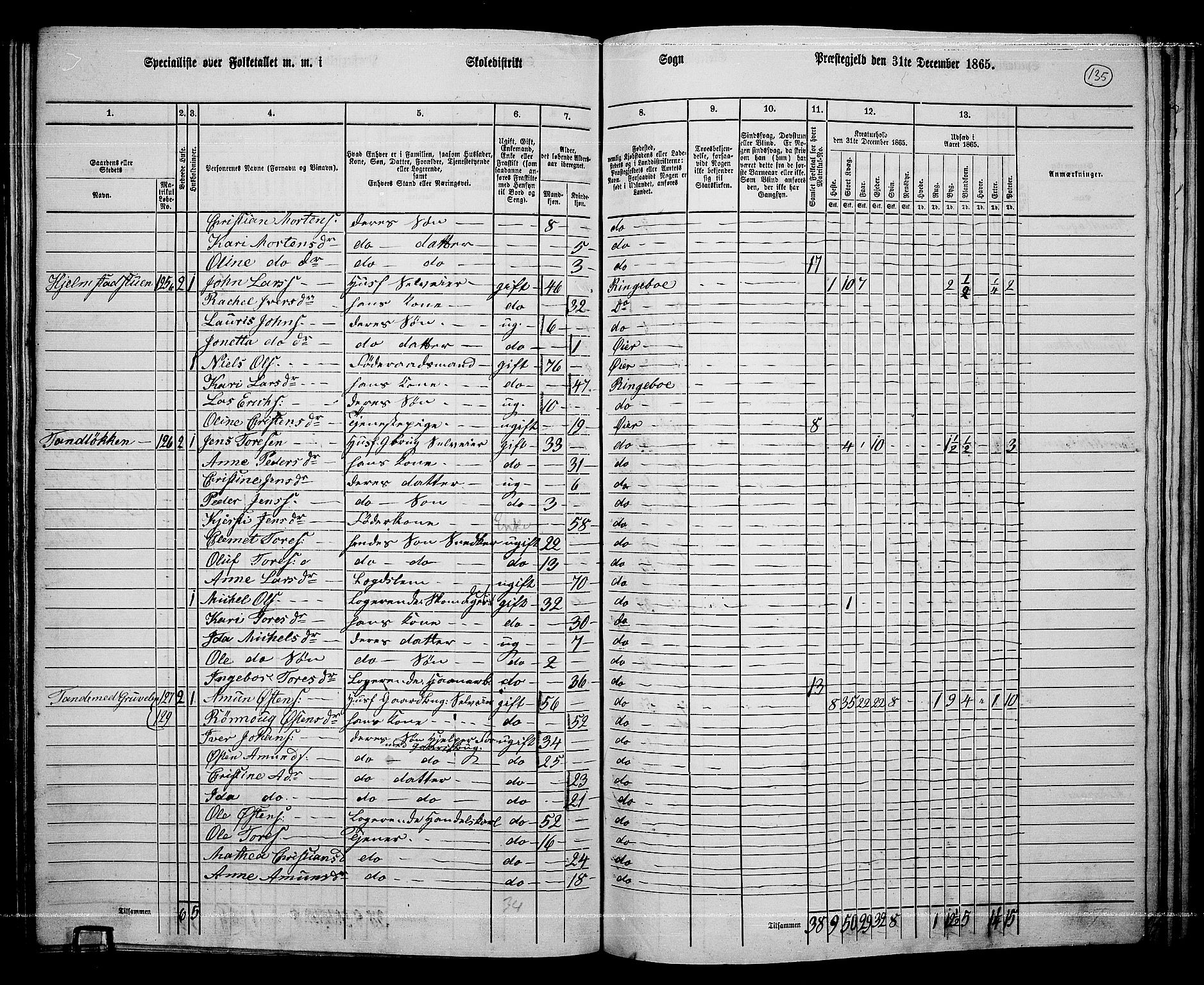 RA, 1865 census for Øyer, 1865, p. 121