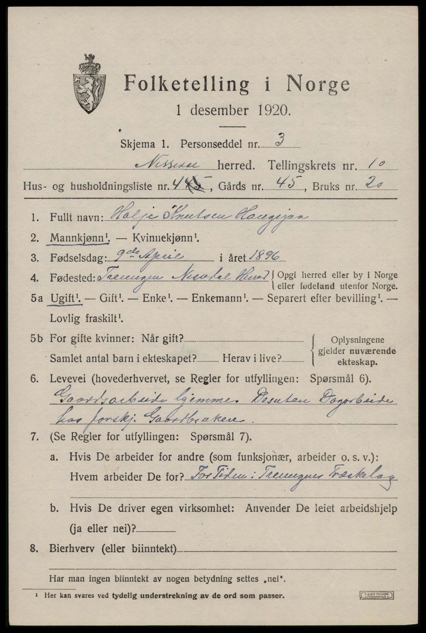 SAKO, 1920 census for Nissedal, 1920, p. 3911