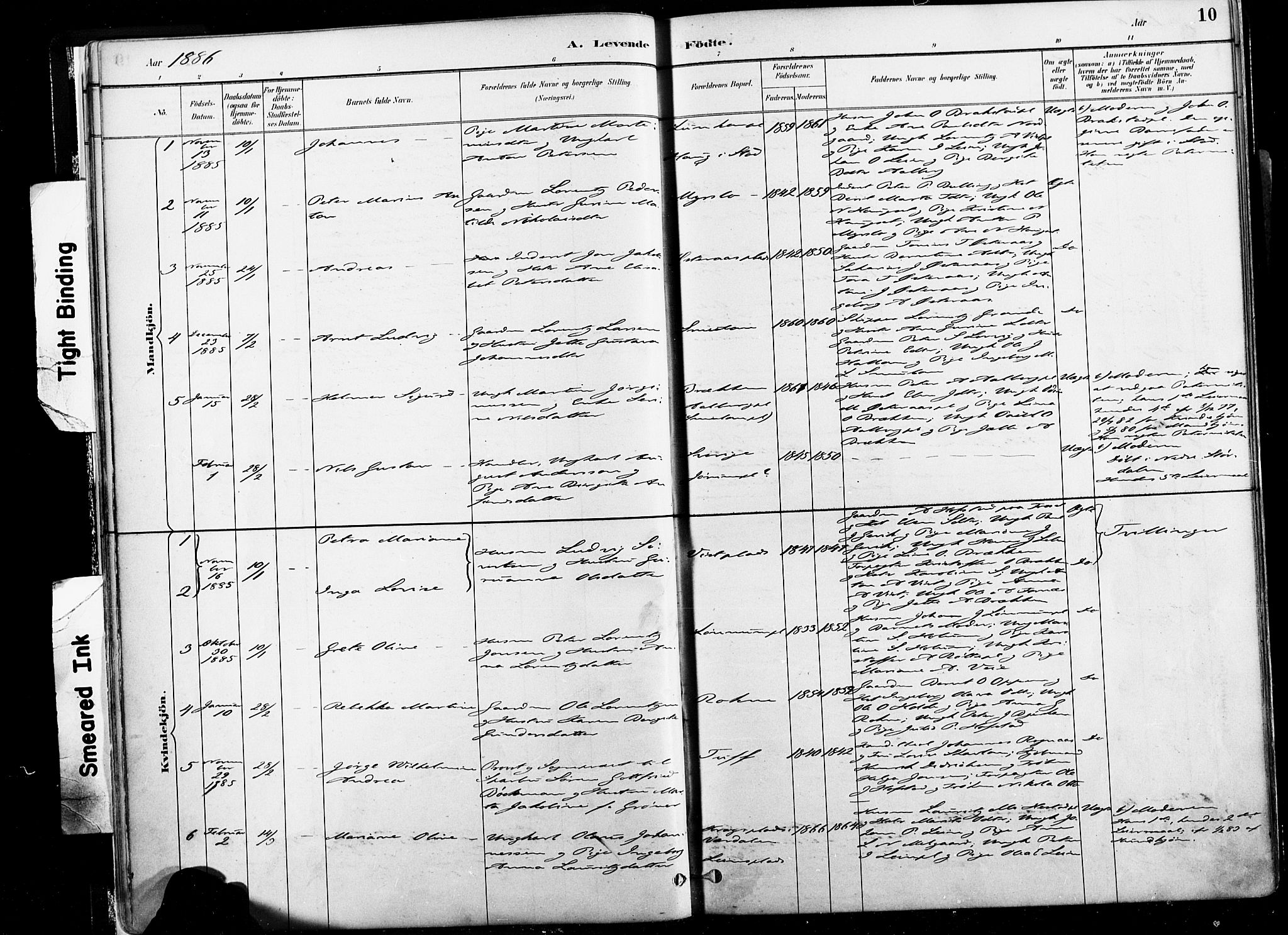 Ministerialprotokoller, klokkerbøker og fødselsregistre - Nord-Trøndelag, SAT/A-1458/735/L0351: Parish register (official) no. 735A10, 1884-1908, p. 10
