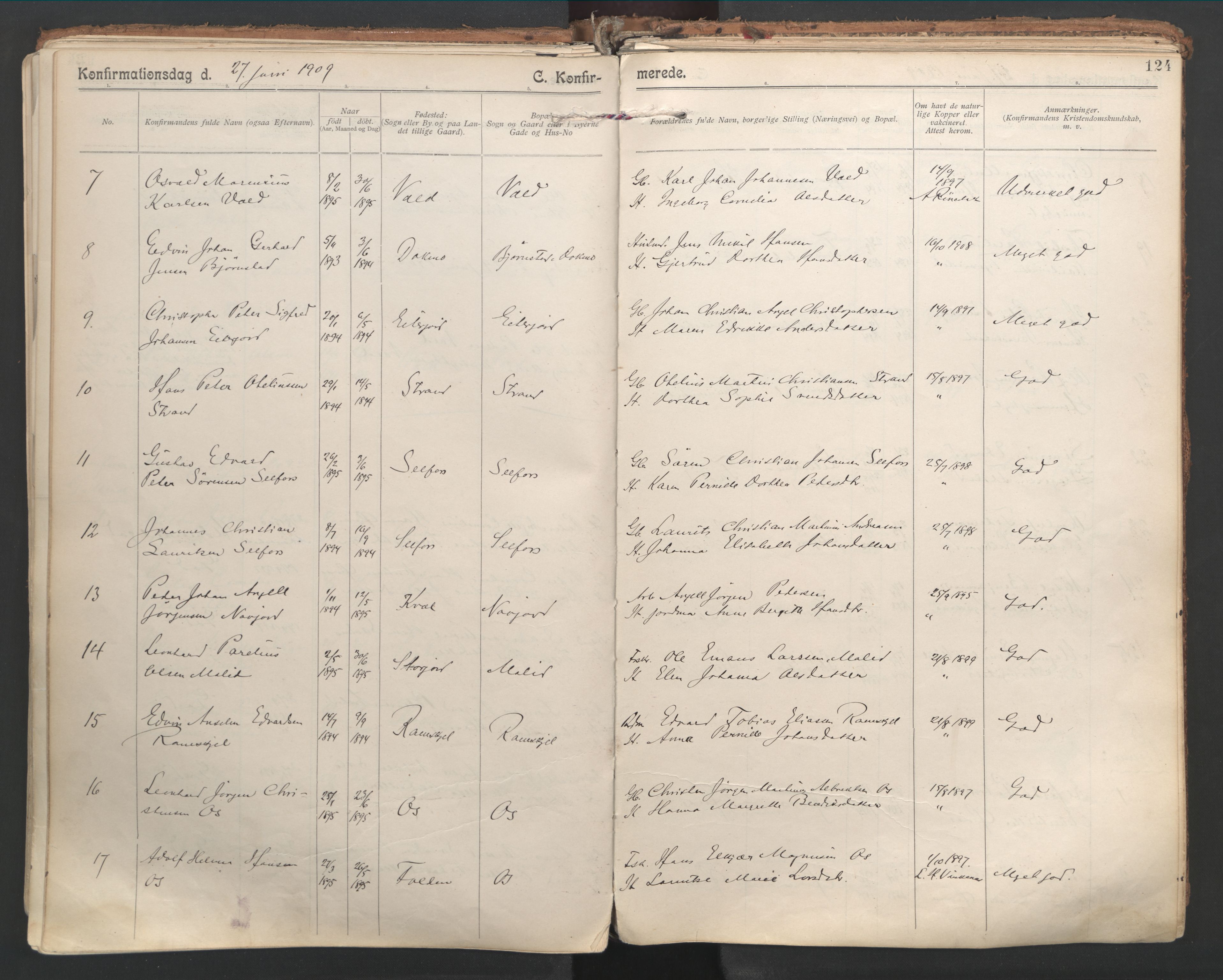 Ministerialprotokoller, klokkerbøker og fødselsregistre - Nordland, AV/SAT-A-1459/846/L0647: Parish register (official) no. 846A05, 1902-1915, p. 124