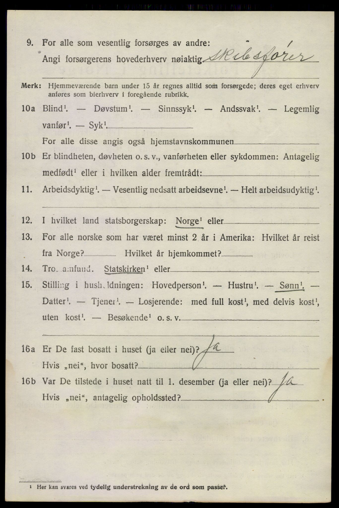 SAKO, 1920 census for Nøtterøy, 1920, p. 11494