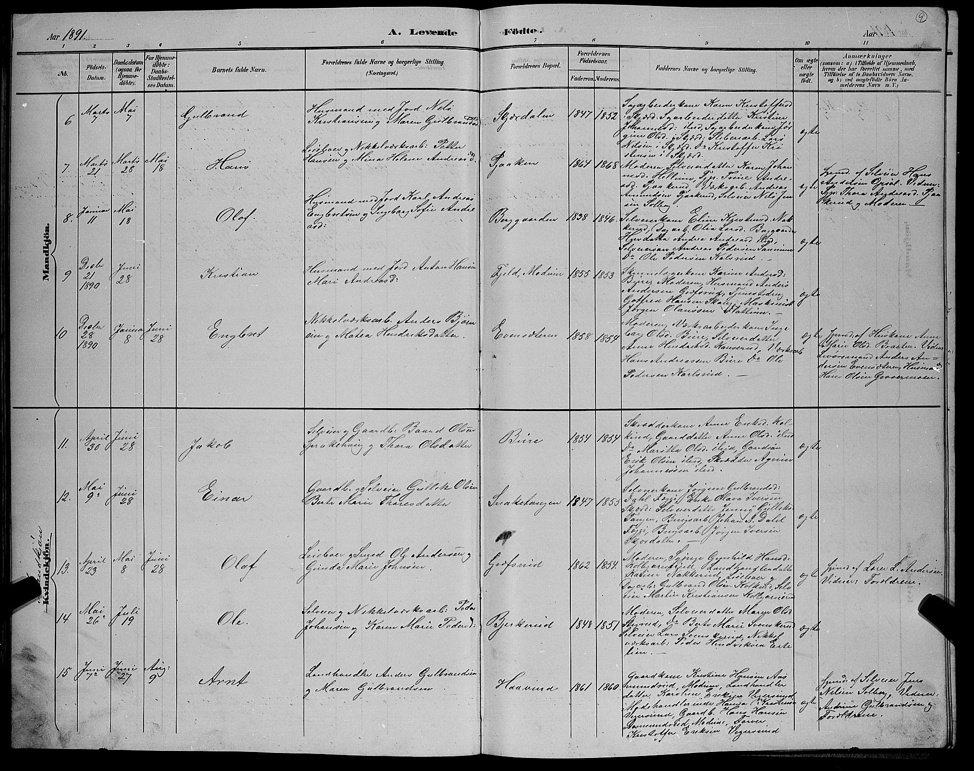 Hole kirkebøker, SAKO/A-228/G/Gb/L0003: Parish register (copy) no. II 3, 1890-1901, p. 9