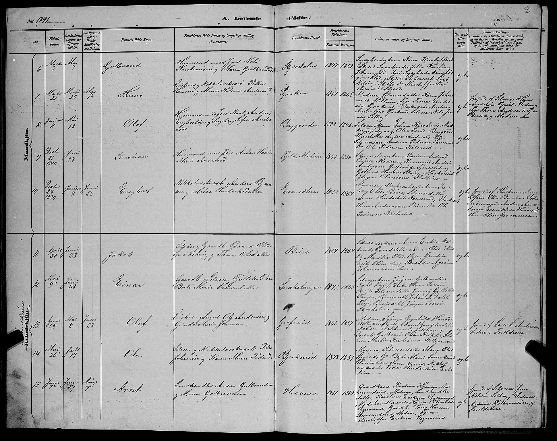 Hole kirkebøker, AV/SAKO-A-228/G/Gb/L0003: Parish register (copy) no. II 3, 1890-1901, p. 9