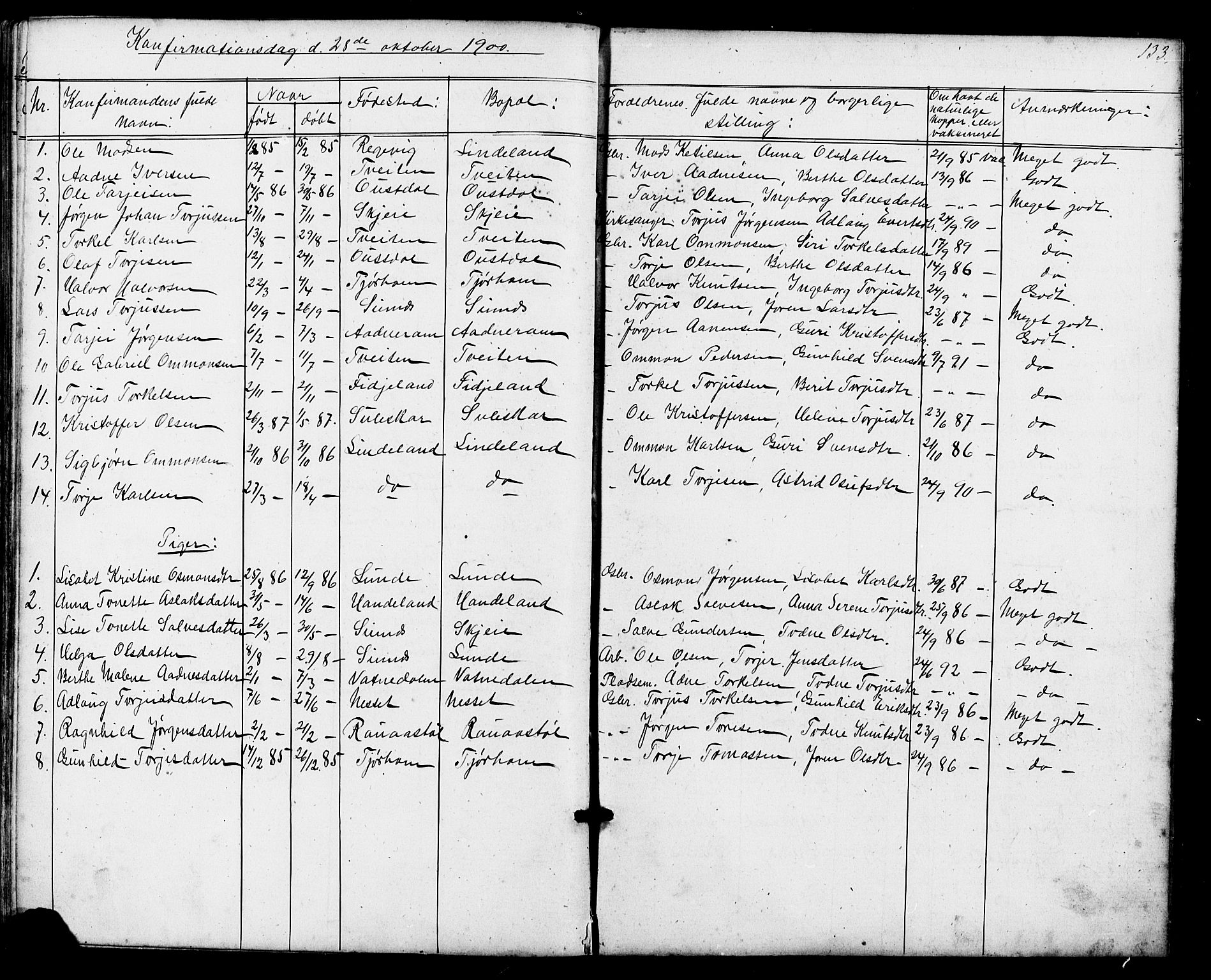 Sirdal sokneprestkontor, SAK/1111-0036/F/Fb/Fba/L0001: Parish register (copy) no. B 1, 1872-1905, p. 133