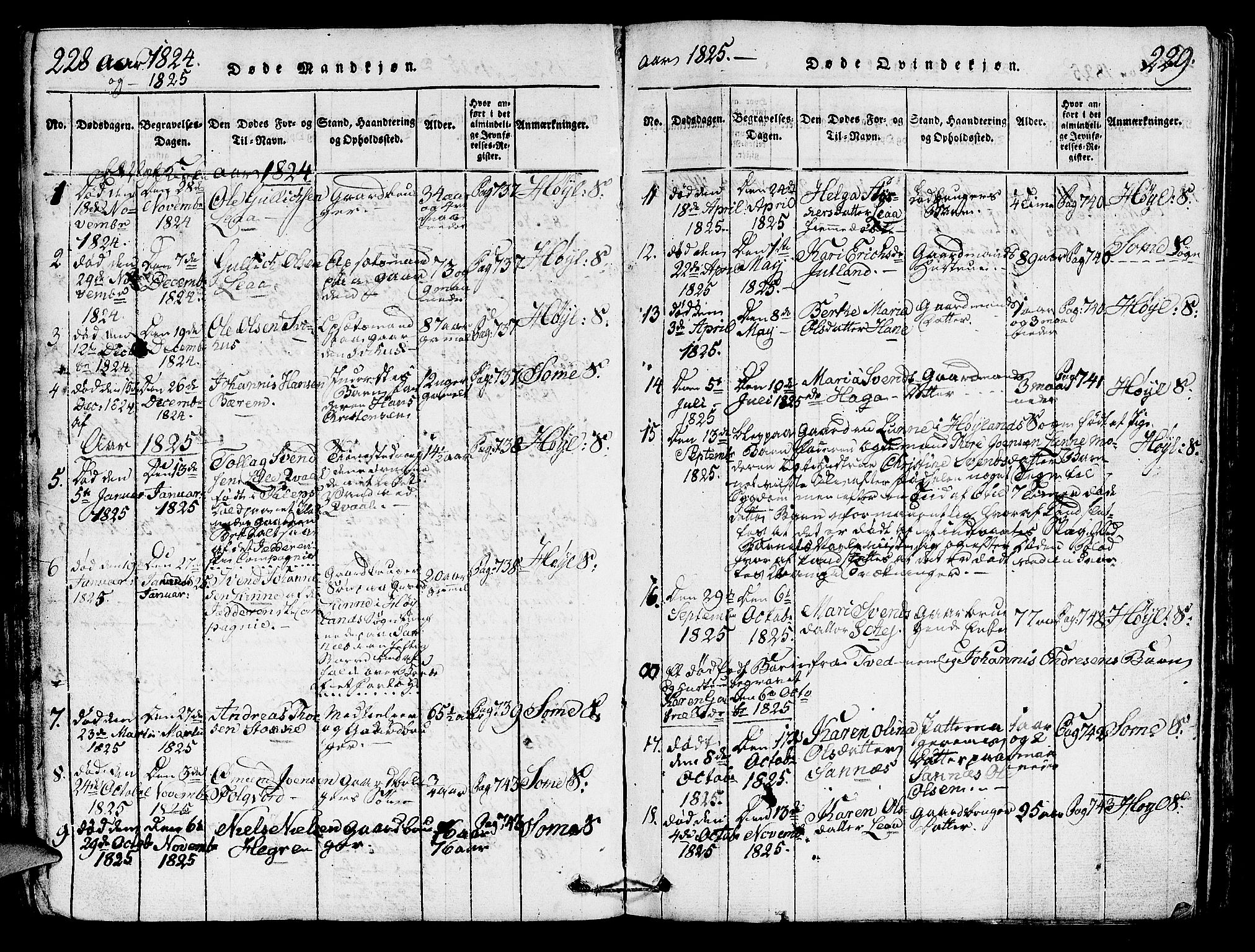 Høyland sokneprestkontor, SAST/A-101799/001/30BA/L0006: Parish register (official) no. A 6, 1815-1825, p. 228-229