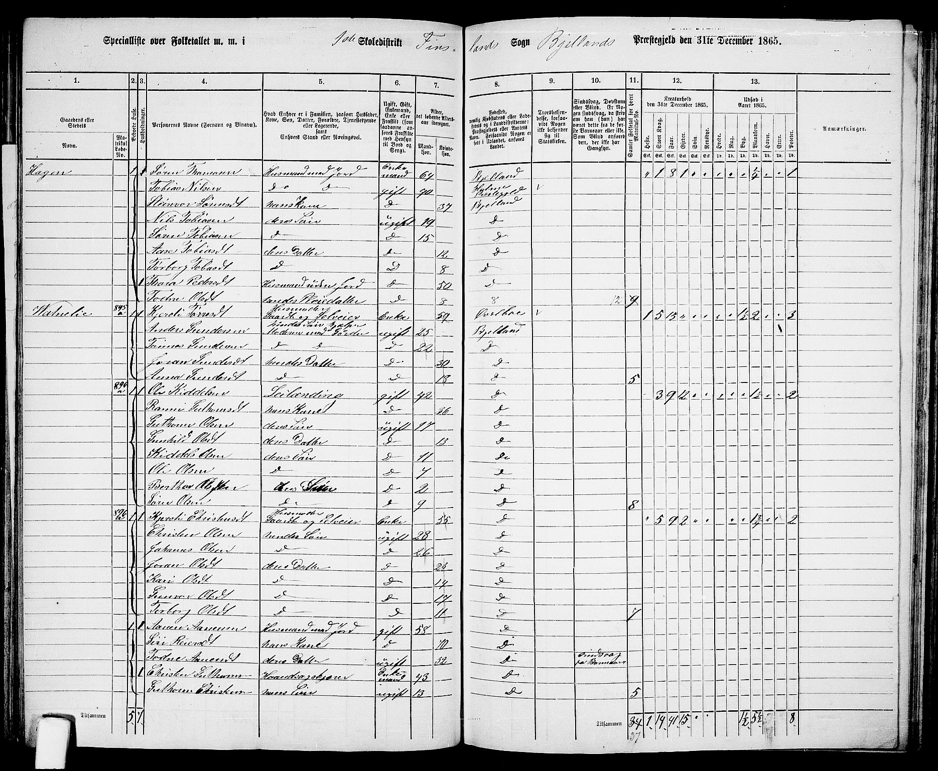 RA, 1865 census for Bjelland, 1865, p. 19