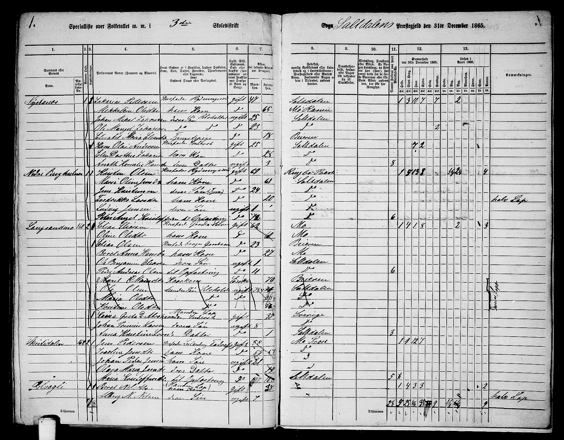 RA, 1865 census for Saltdal, 1865, p. 73