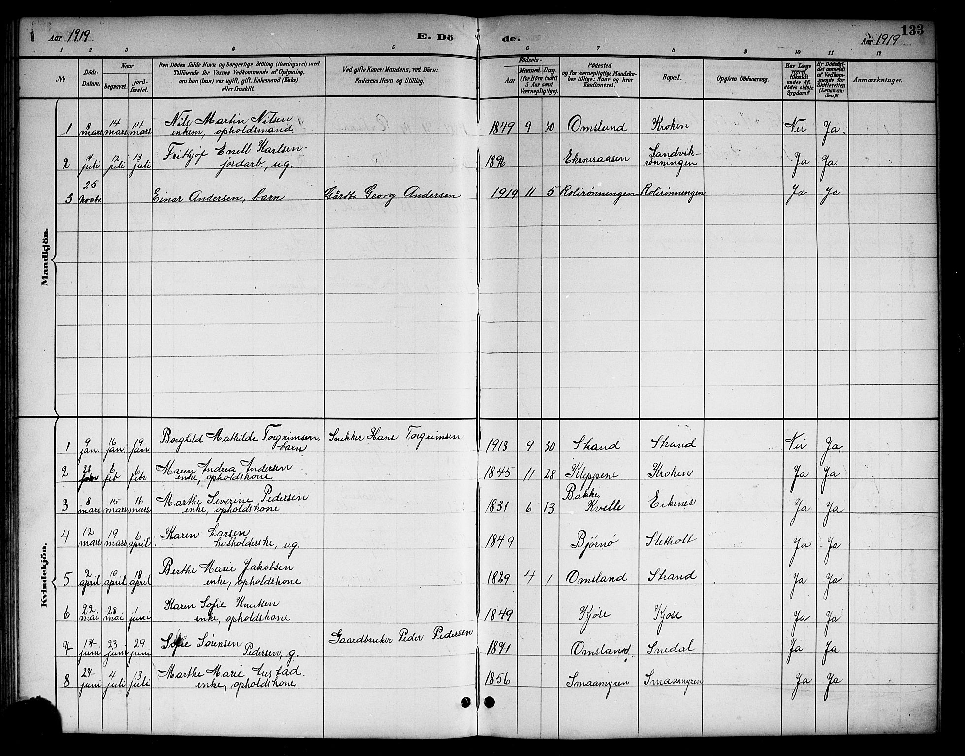 Brunlanes kirkebøker, AV/SAKO-A-342/G/Gc/L0002: Parish register (copy) no. III 2, 1891-1922, p. 133