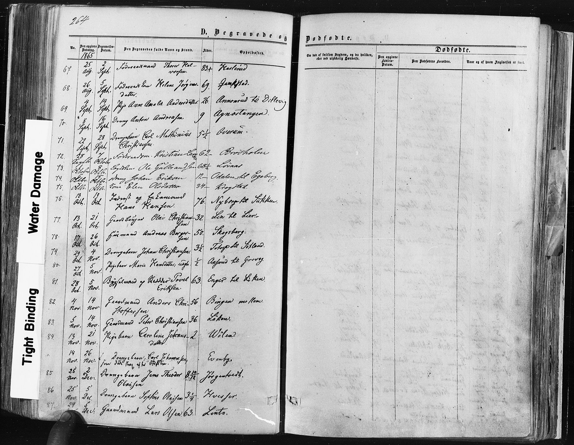 Trøgstad prestekontor Kirkebøker, SAO/A-10925/F/Fa/L0009: Parish register (official) no. I 9, 1865-1877, p. 264