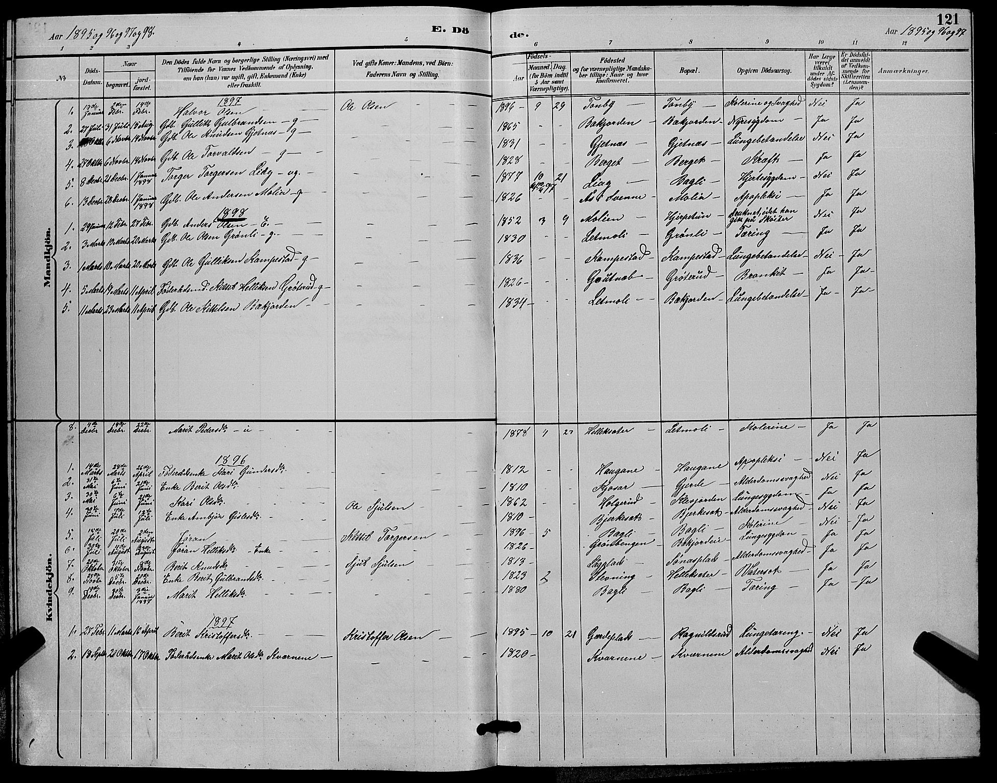Flesberg kirkebøker, SAKO/A-18/G/Ga/L0004: Parish register (copy) no. I 4 /3, 1890-1898, p. 121