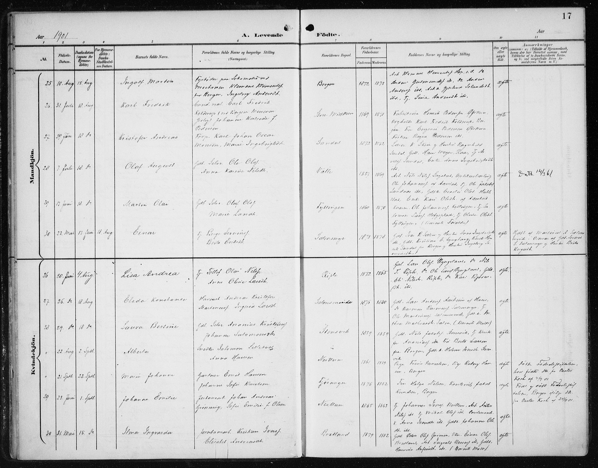 Fana Sokneprestembete, AV/SAB-A-75101/H/Haa/Haai/L0003: Parish register (official) no. I 3, 1900-1912, p. 17