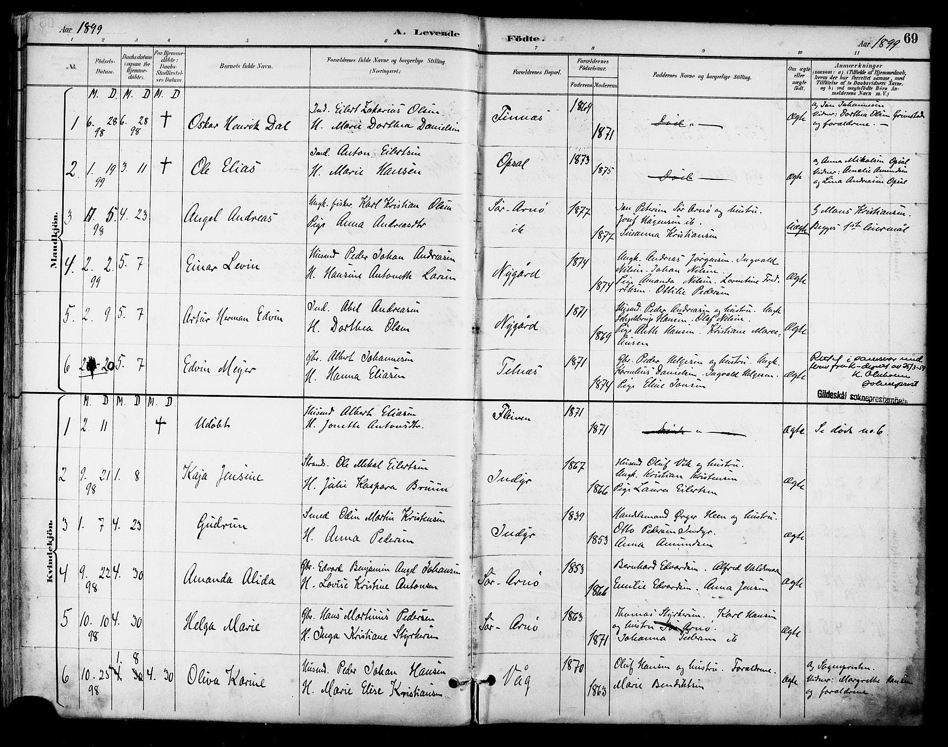 Ministerialprotokoller, klokkerbøker og fødselsregistre - Nordland, SAT/A-1459/805/L0101: Parish register (official) no. 805A07, 1892-1899, p. 69