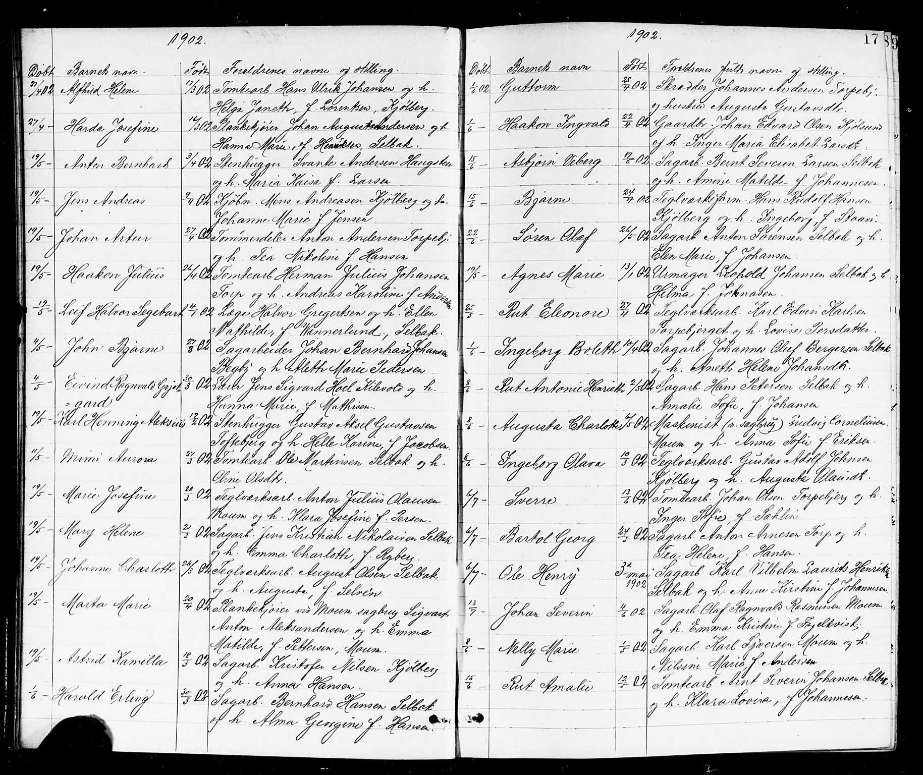 Borge prestekontor Kirkebøker, AV/SAO-A-10903/G/Ga/L0002: Parish register (copy) no. I 2, 1875-1923, p. 17