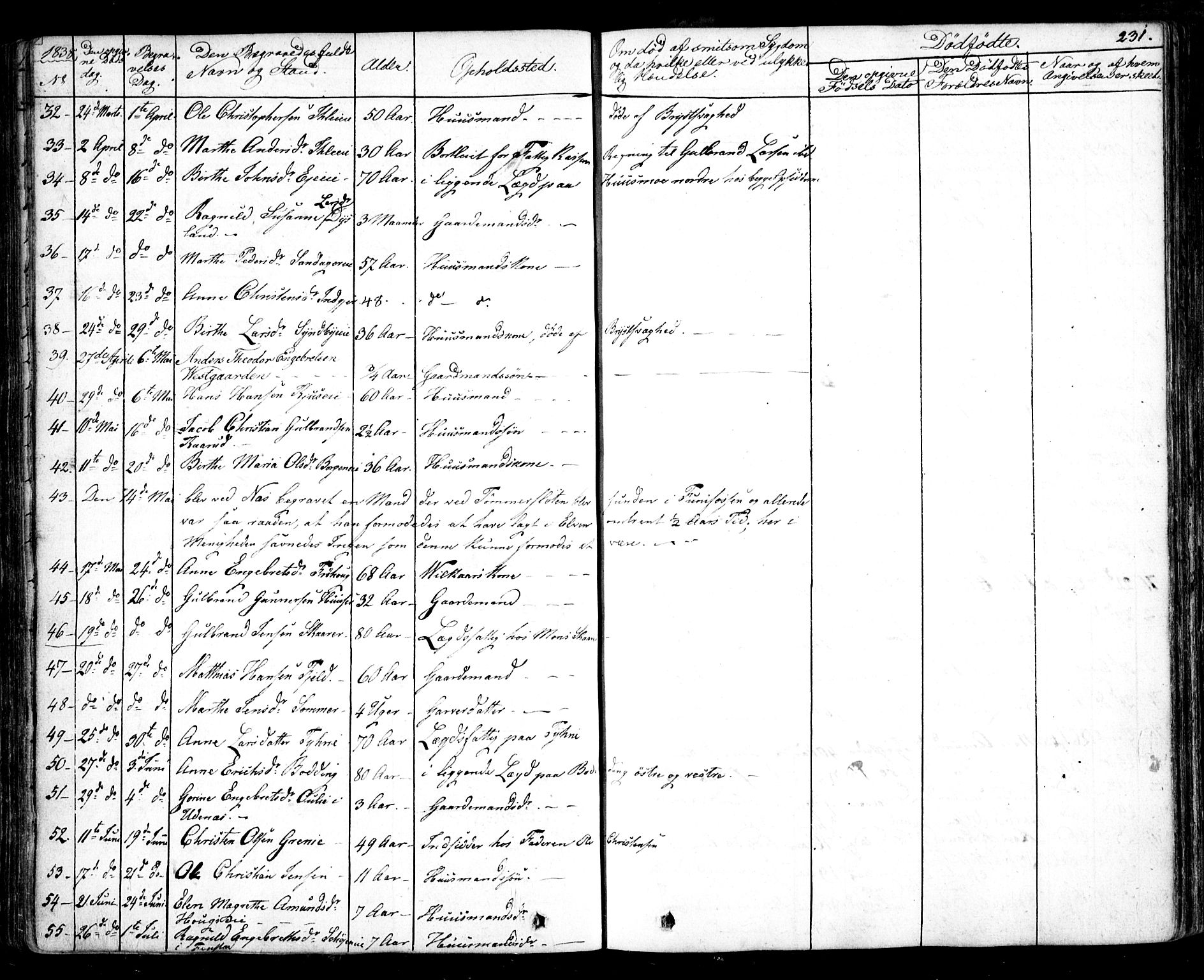 Nes prestekontor Kirkebøker, AV/SAO-A-10410/F/Fa/L0006: Parish register (official) no. I 6, 1833-1845, p. 231