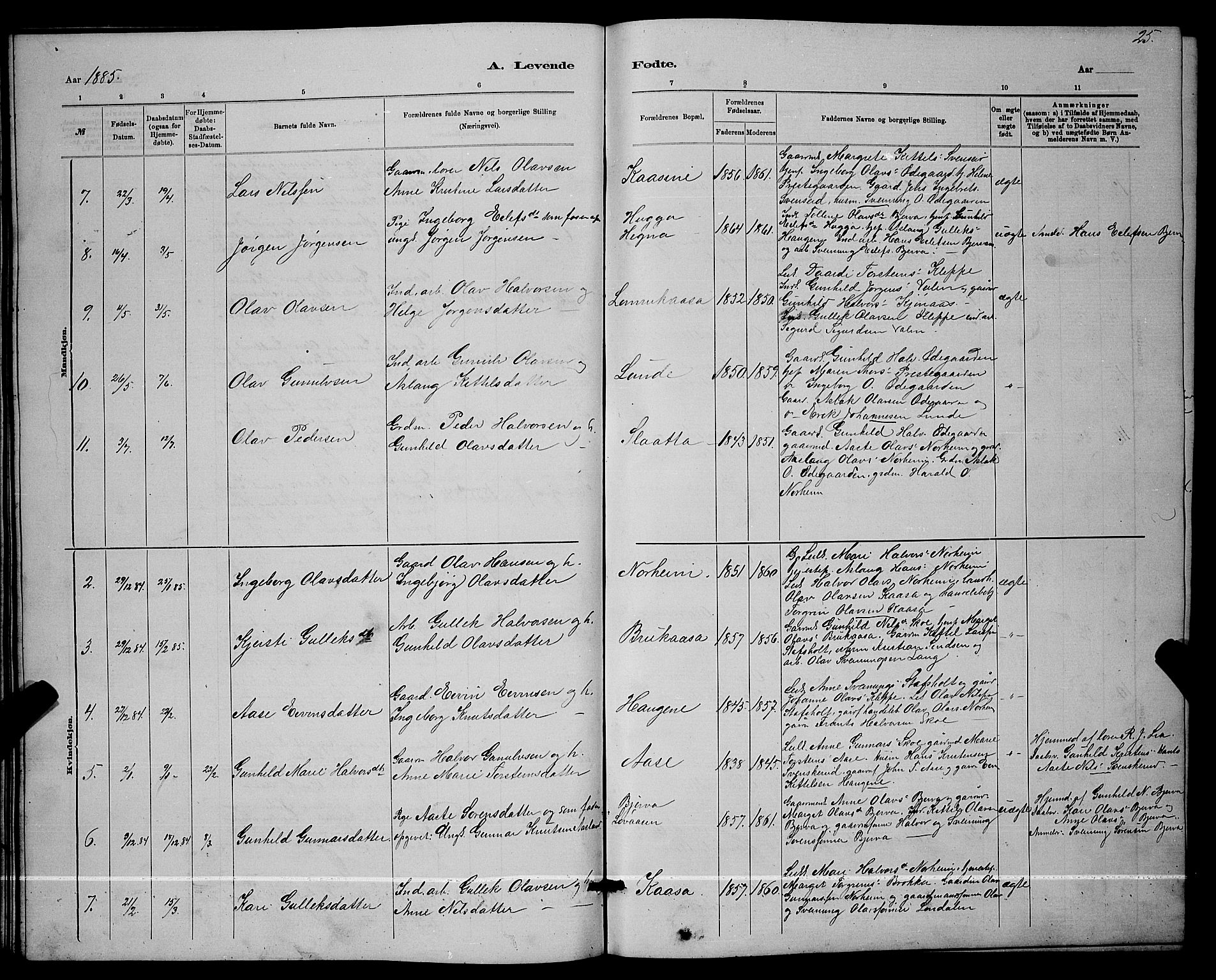 Lunde kirkebøker, SAKO/A-282/G/Ga/L0001b: Parish register (copy) no. I 1, 1879-1887, p. 25