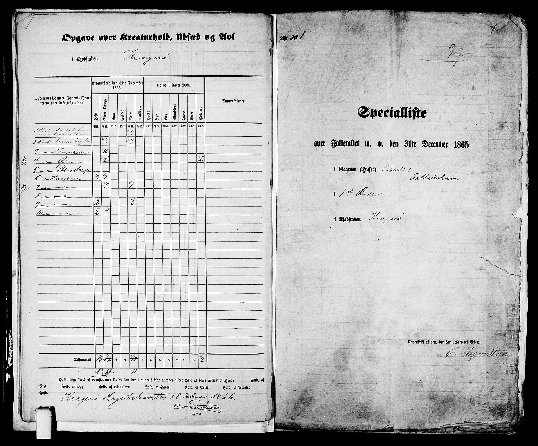 RA, 1865 census for Kragerø/Kragerø, 1865, p. 11