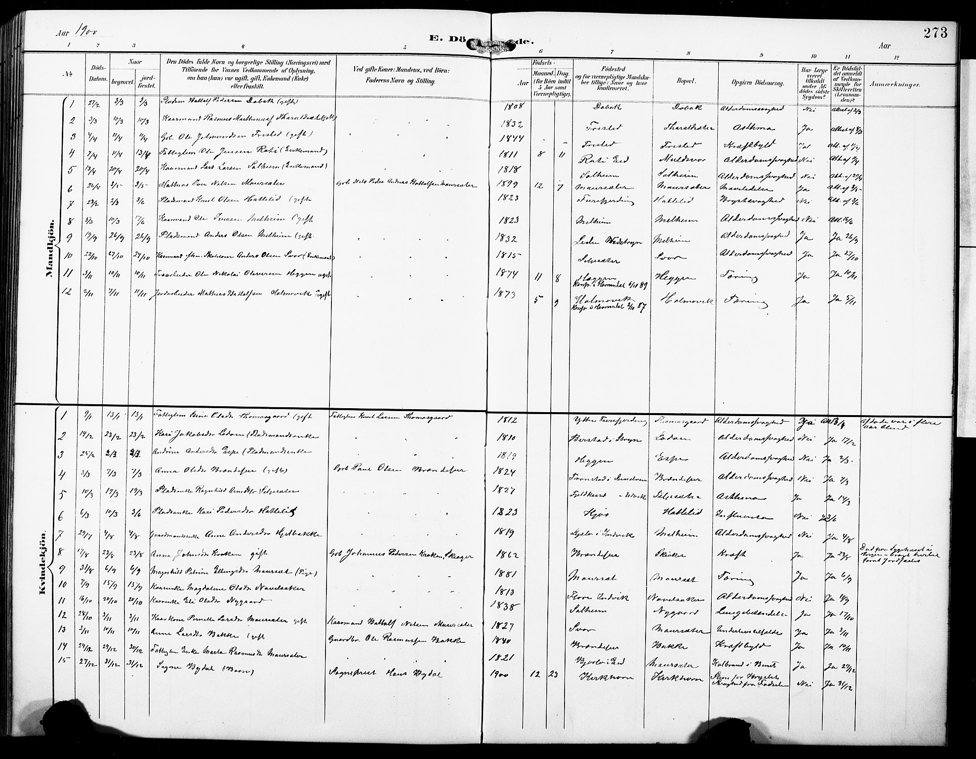 Hornindal sokneprestembete, AV/SAB-A-82401/H/Hab: Parish register (copy) no. A 2, 1894-1927, p. 273