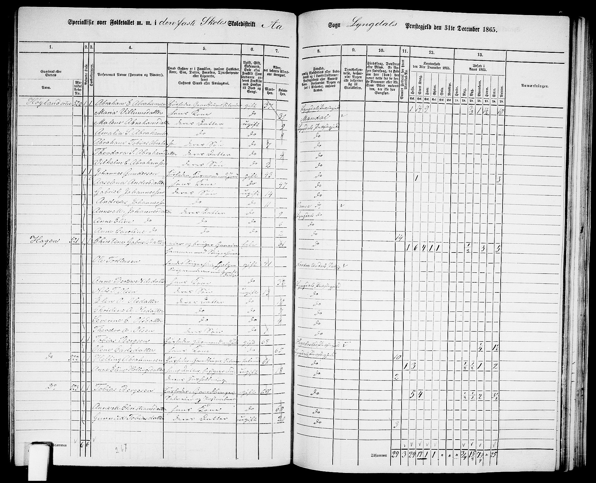 RA, 1865 census for Lyngdal, 1865, p. 205