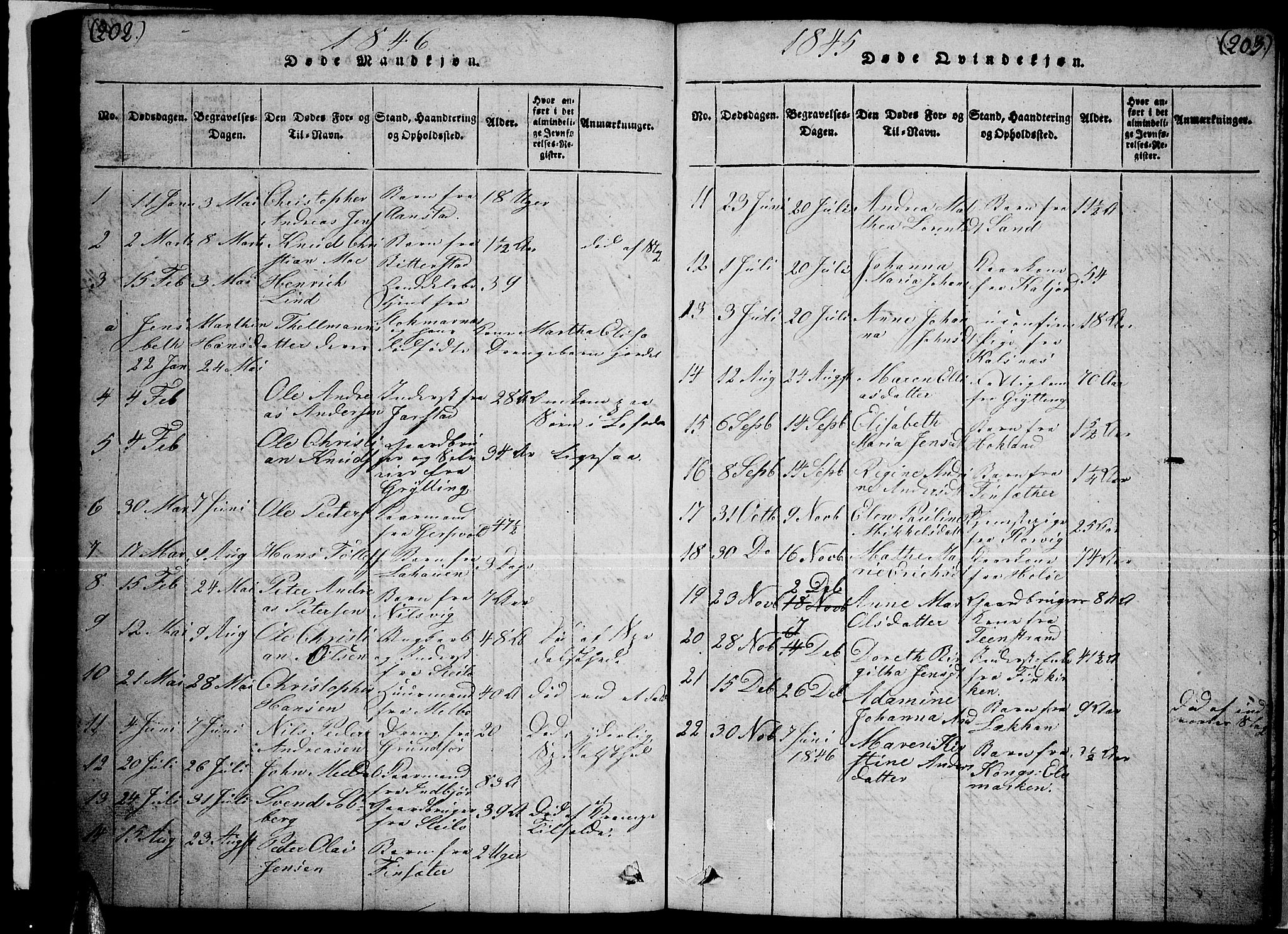 Ministerialprotokoller, klokkerbøker og fødselsregistre - Nordland, AV/SAT-A-1459/888/L1263: Parish register (copy) no. 888C02 /1, 1820-1850, p. 202-203