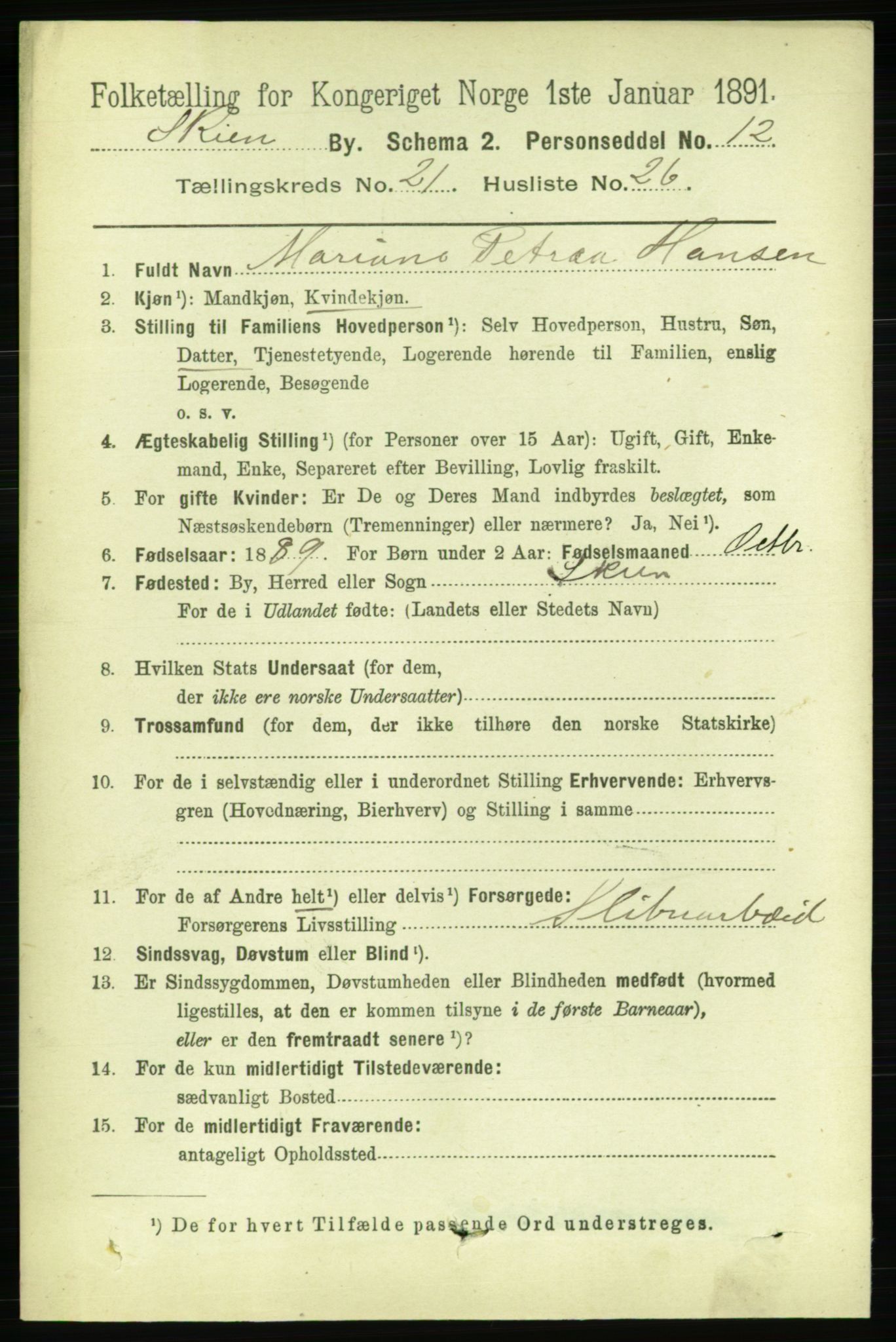 RA, 1891 census for 0806 Skien, 1891, p. 5666