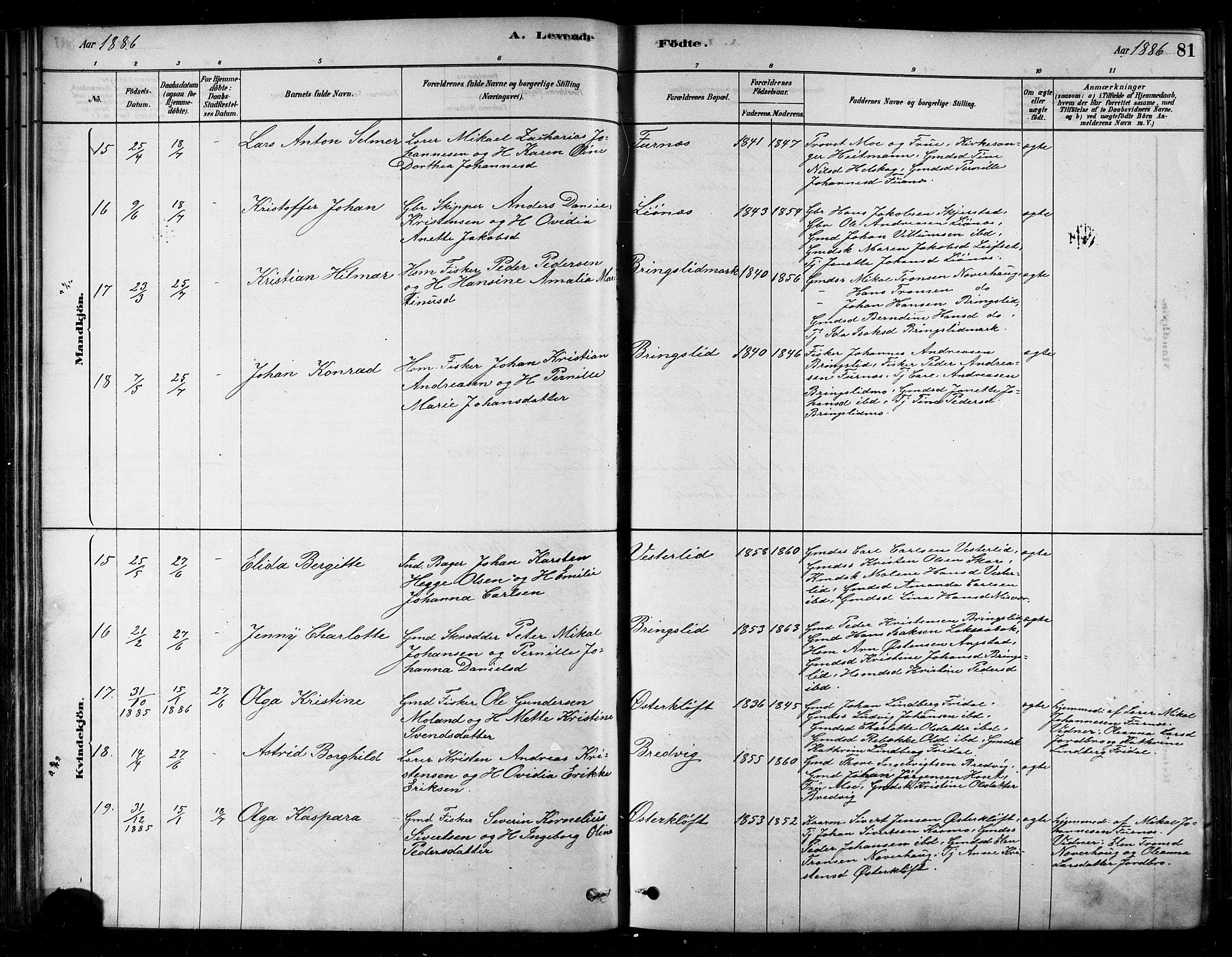 Ministerialprotokoller, klokkerbøker og fødselsregistre - Nordland, SAT/A-1459/852/L0740: Parish register (official) no. 852A10, 1878-1894, p. 81