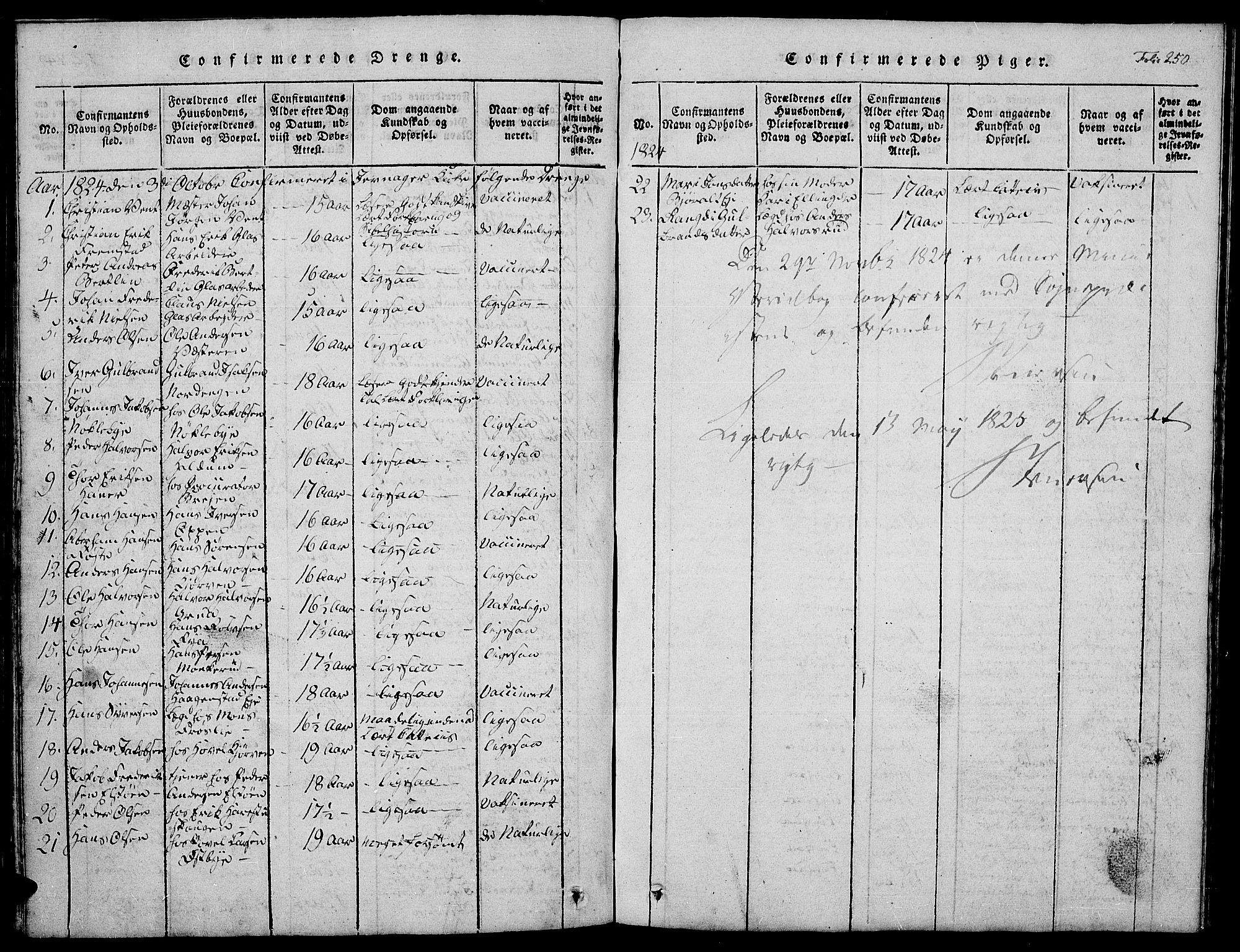 Jevnaker prestekontor, AV/SAH-PREST-116/H/Ha/Hab/L0001: Parish register (copy) no. 1, 1815-1837, p. 250