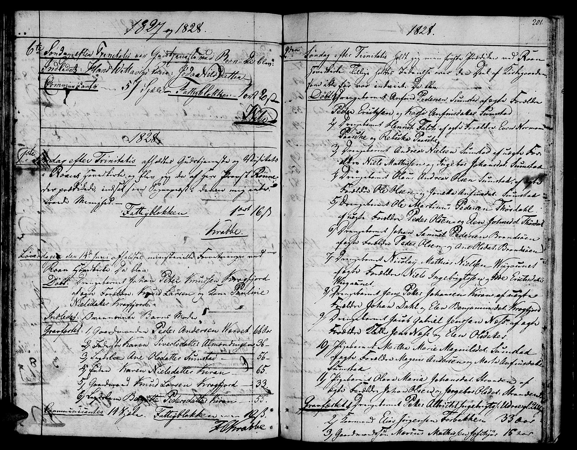 Ministerialprotokoller, klokkerbøker og fødselsregistre - Sør-Trøndelag, SAT/A-1456/657/L0701: Parish register (official) no. 657A02, 1802-1831, p. 201