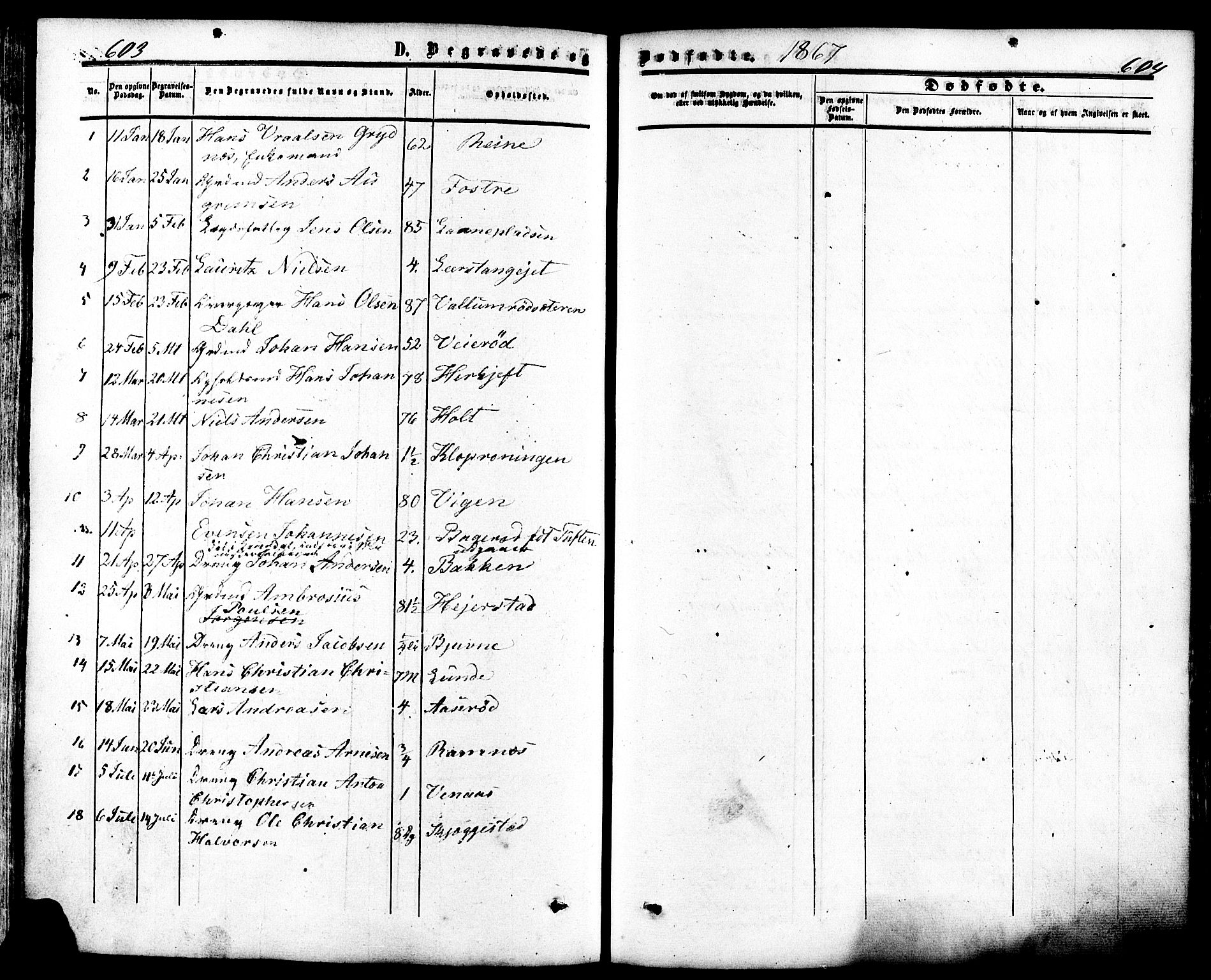 Ramnes kirkebøker, SAKO/A-314/F/Fa/L0006: Parish register (official) no. I 6, 1862-1877, p. 603-604