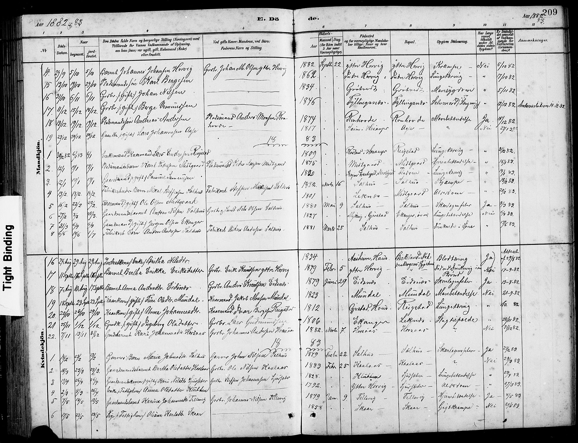 Hamre sokneprestembete, SAB/A-75501/H/Ha/Hab: Parish register (copy) no. B 3, 1881-1898, p. 209