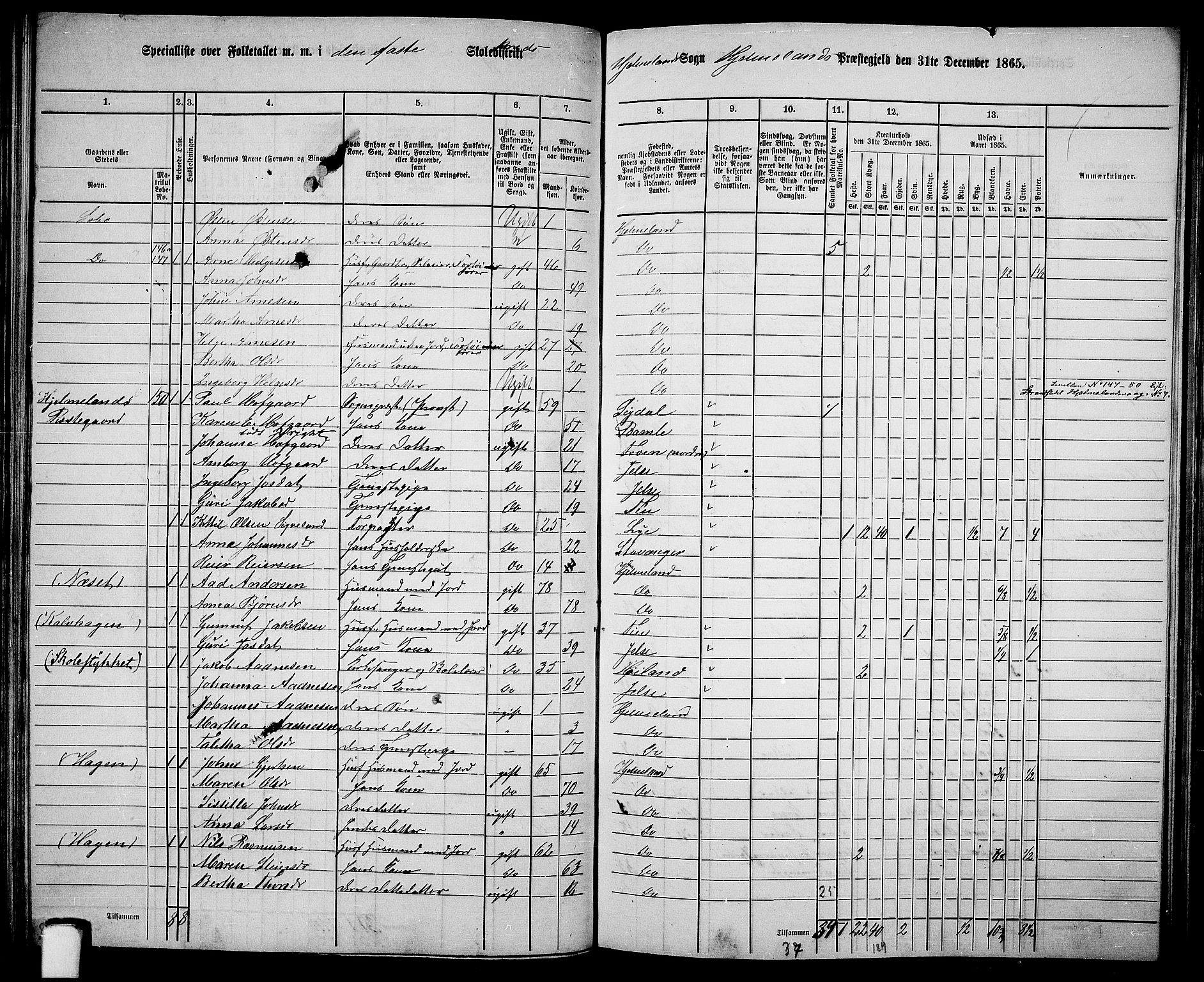 RA, 1865 census for Hjelmeland, 1865, p. 97