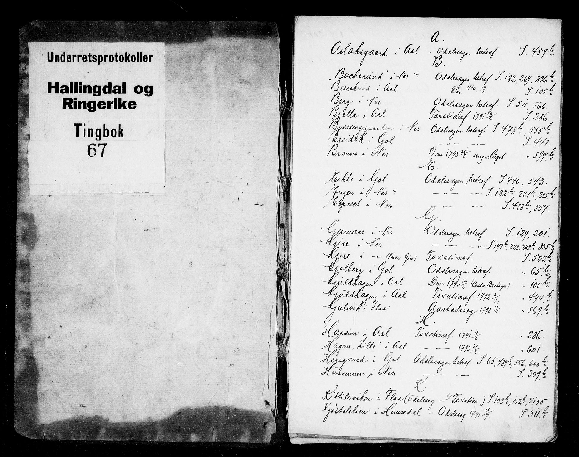 Ringerike og Hallingdal sorenskriveri, AV/SAKO-A-81/F/Fa/Fad/L0011: Tingbok - Hallingdal, 1789-1793