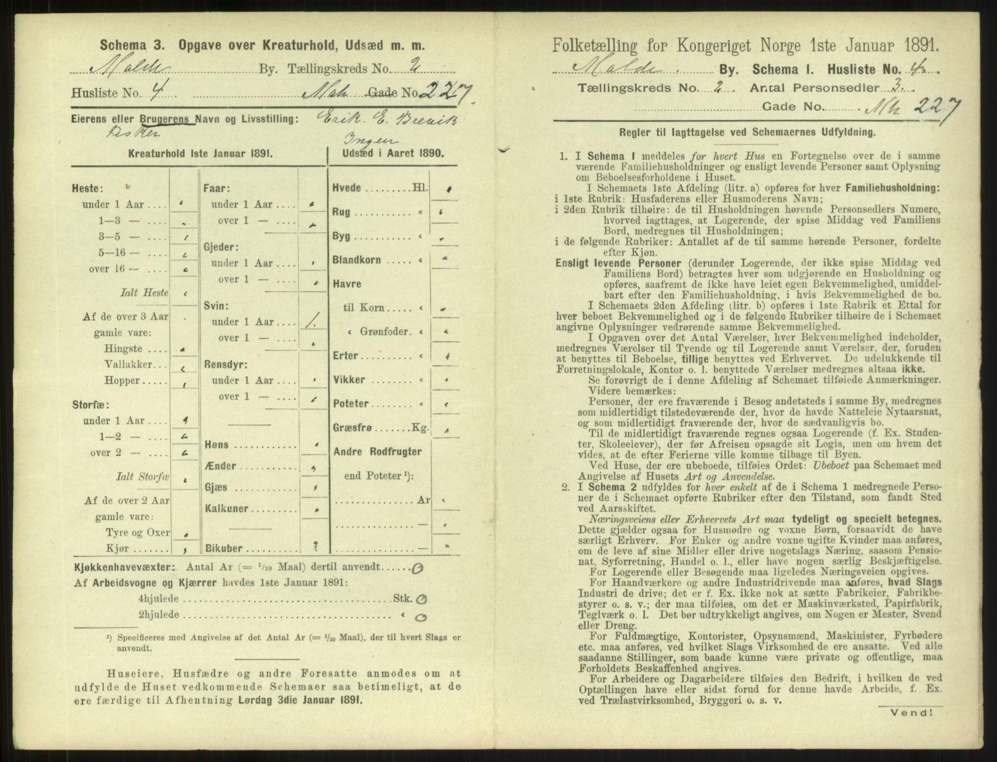 RA, 1891 census for 1502 Molde, 1891, p. 1162