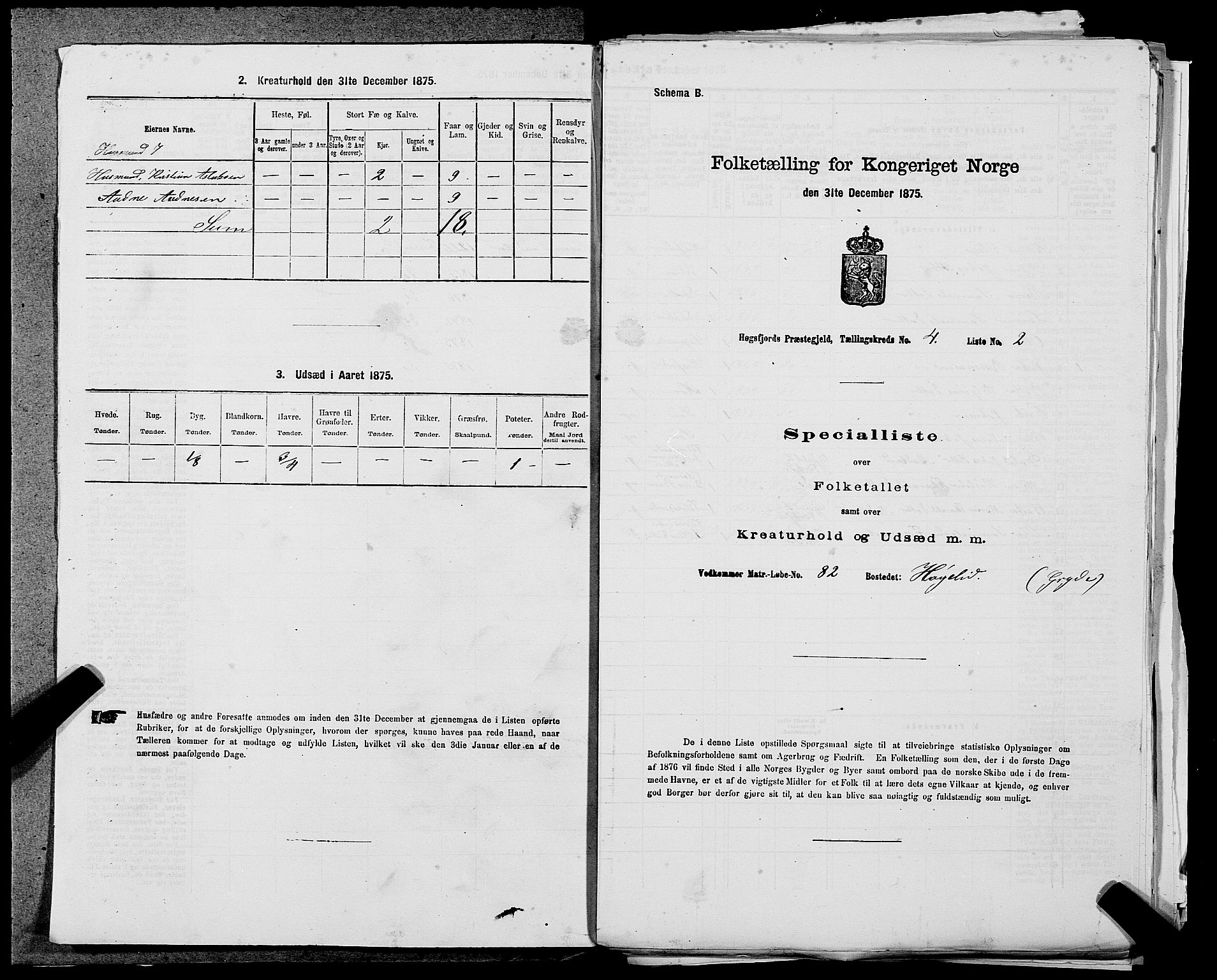 SAST, 1875 census for 1128P Høgsfjord, 1875, p. 318