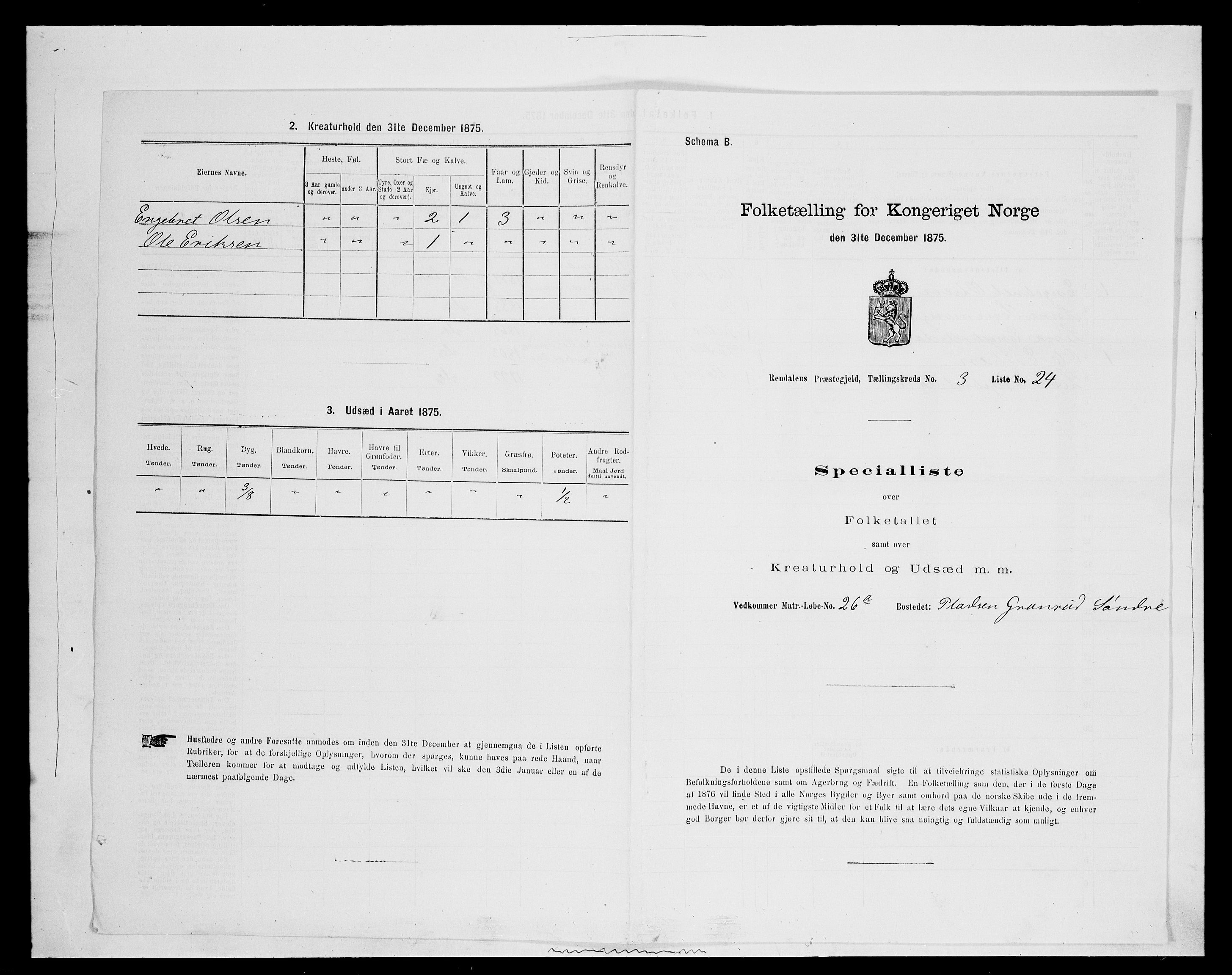 SAH, 1875 census for 0432P Rendalen, 1875, p. 392