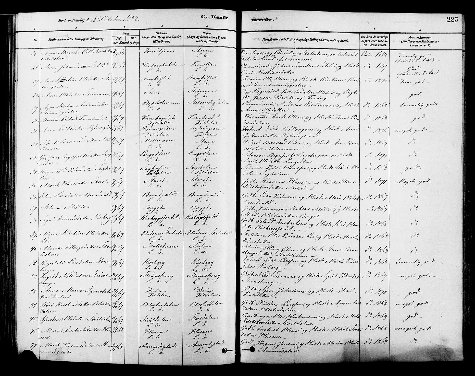 Alvdal prestekontor, SAH/PREST-060/H/Ha/Hab/L0003: Parish register (copy) no. 3, 1878-1907, p. 225