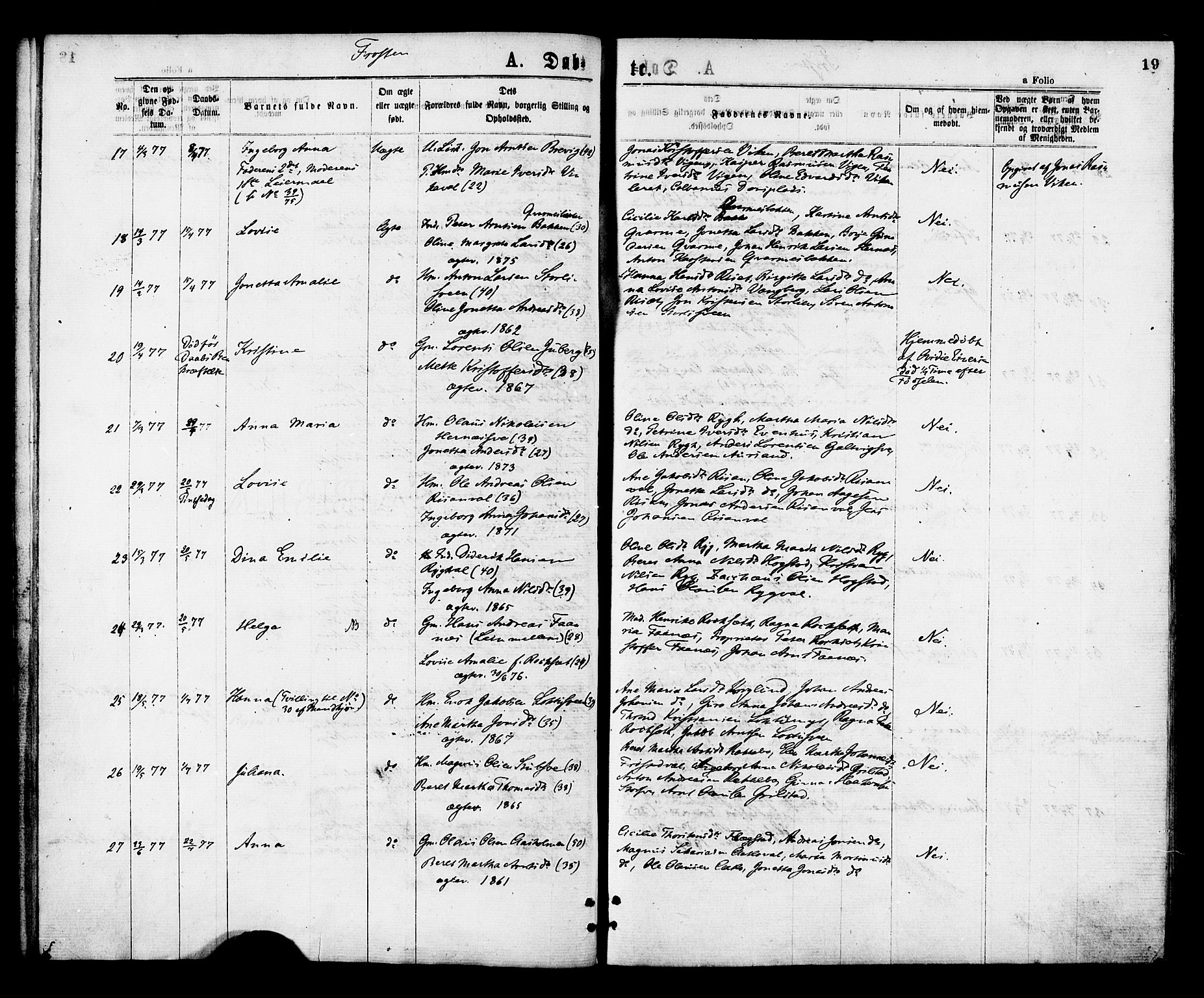 Ministerialprotokoller, klokkerbøker og fødselsregistre - Nord-Trøndelag, AV/SAT-A-1458/713/L0118: Parish register (official) no. 713A08 /1, 1875-1877, p. 19