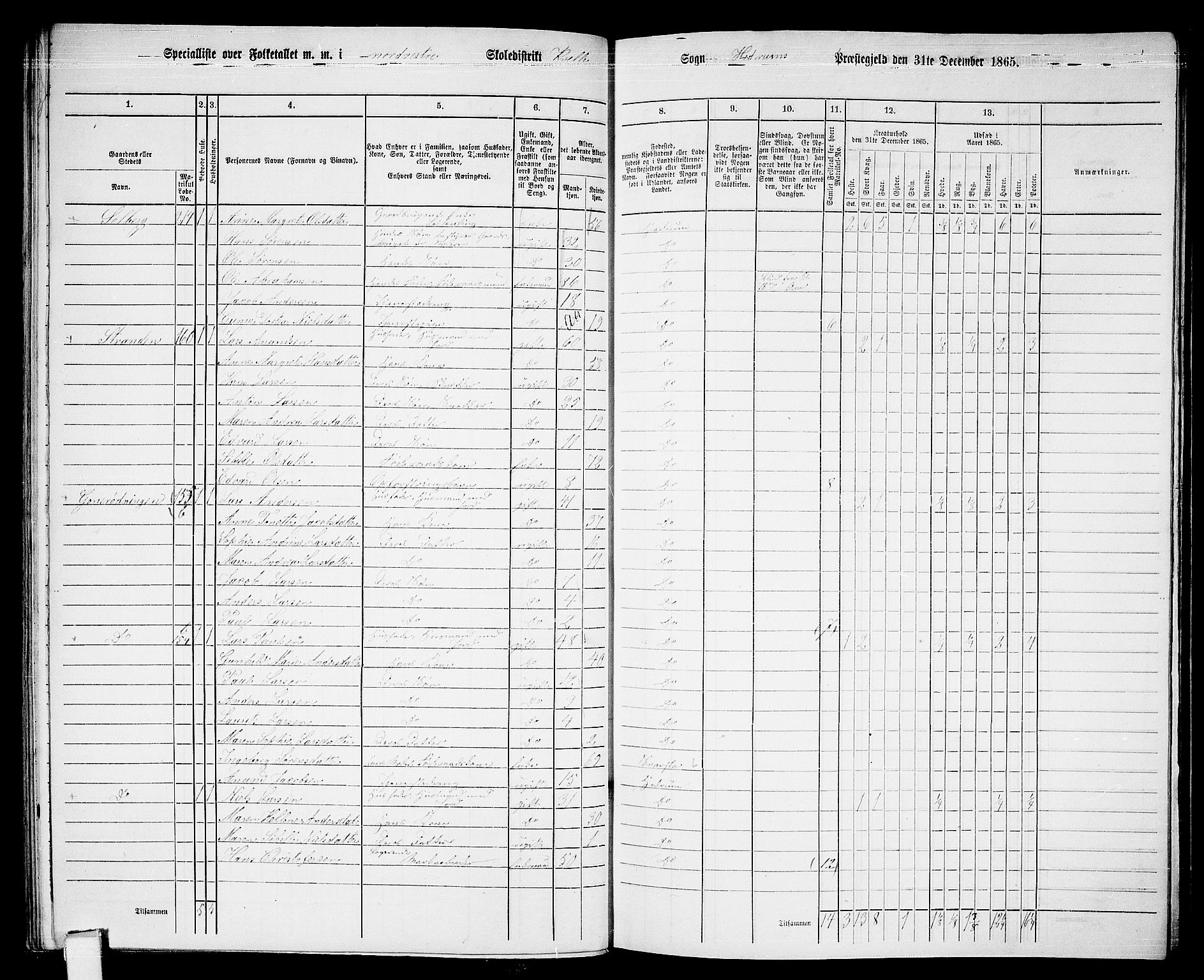 RA, 1865 census for Hedrum, 1865, p. 105