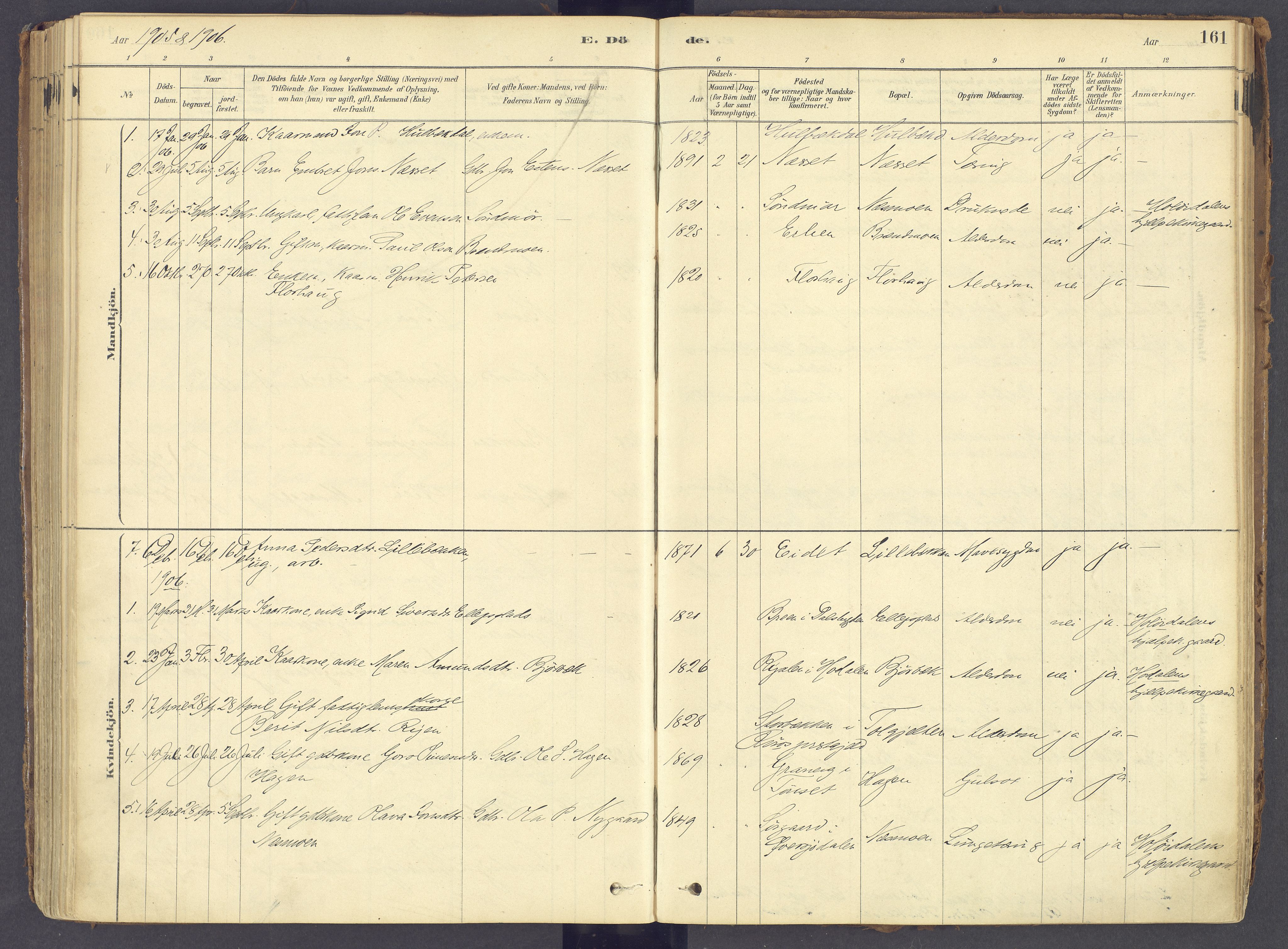 Tolga prestekontor, AV/SAH-PREST-062/K/L0011: Parish register (official) no. 11, 1877-1920, p. 161