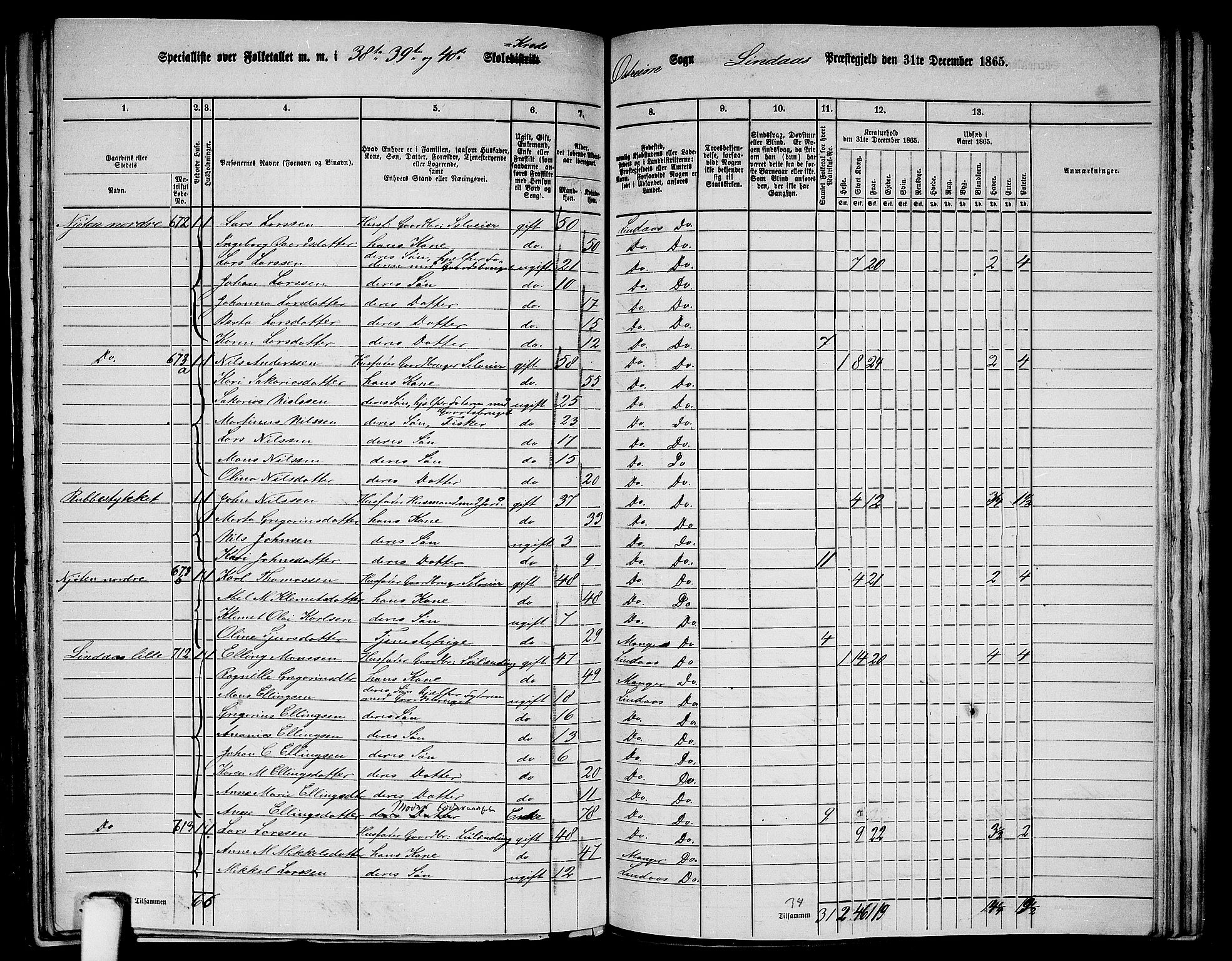 RA, 1865 census for Lindås, 1865, p. 248