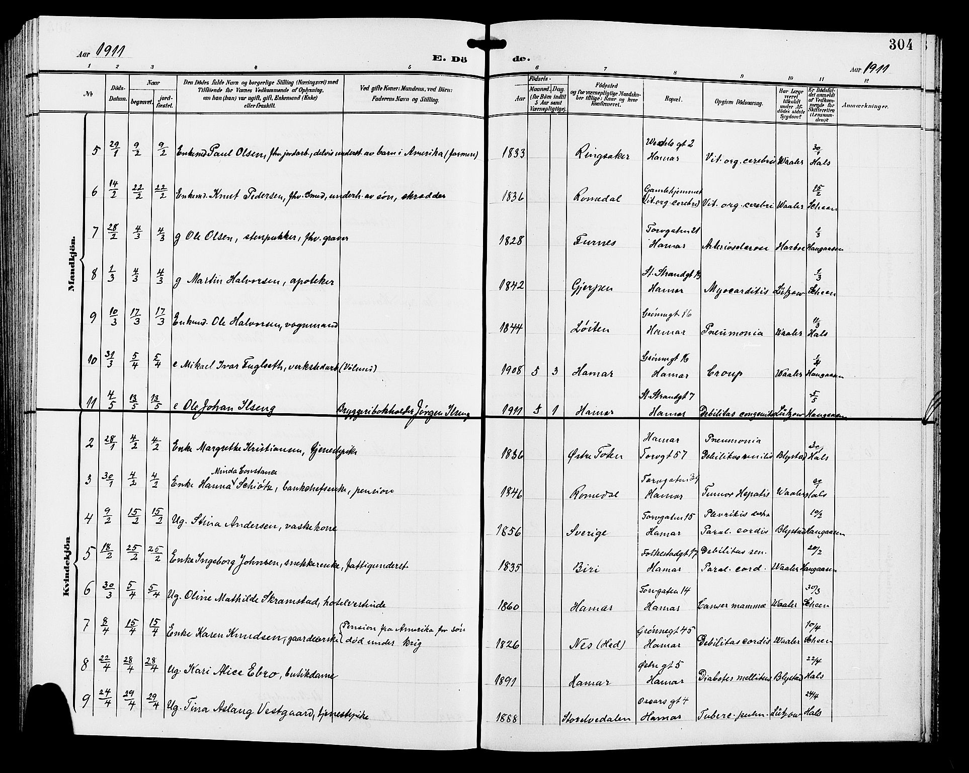 Hamar prestekontor, AV/SAH-DOMPH-002/H/Ha/Hab/L0001: Parish register (copy) no. 1, 1899-1914, p. 304